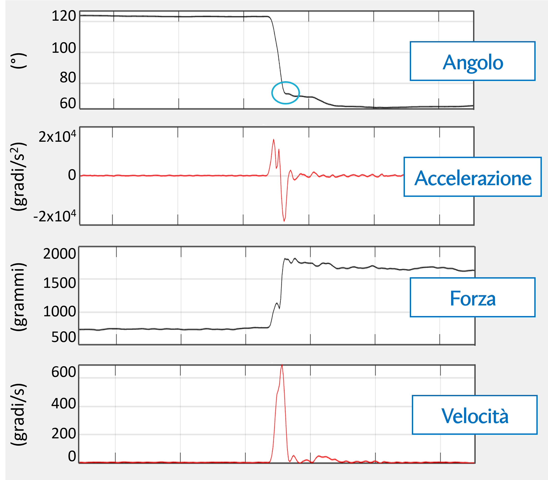 grafici.png