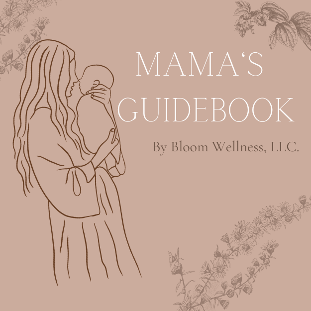 4- Mama's Guidebook- 3rd Trimester Mama's.png