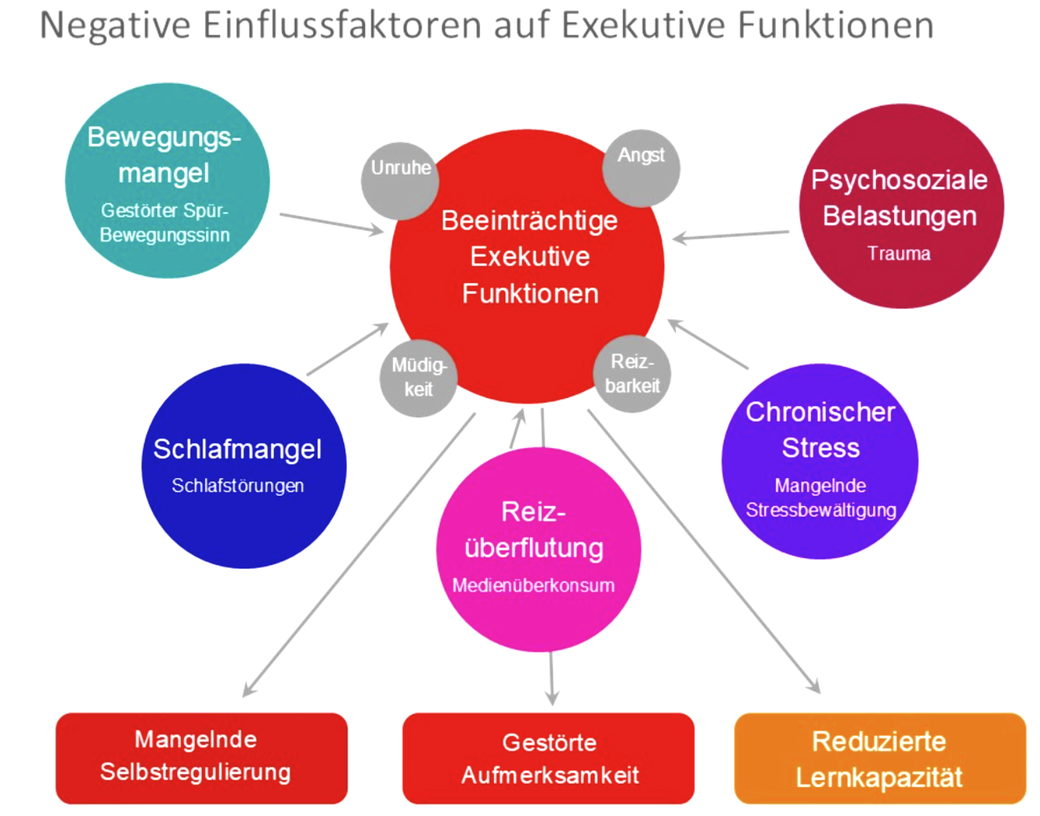 Die F rderung Der Exekutiven Funktionen An Unserer Onlineschule Happy Die F rderung Der Exekutiven Funktionen An Unserer Onlineschule Happy