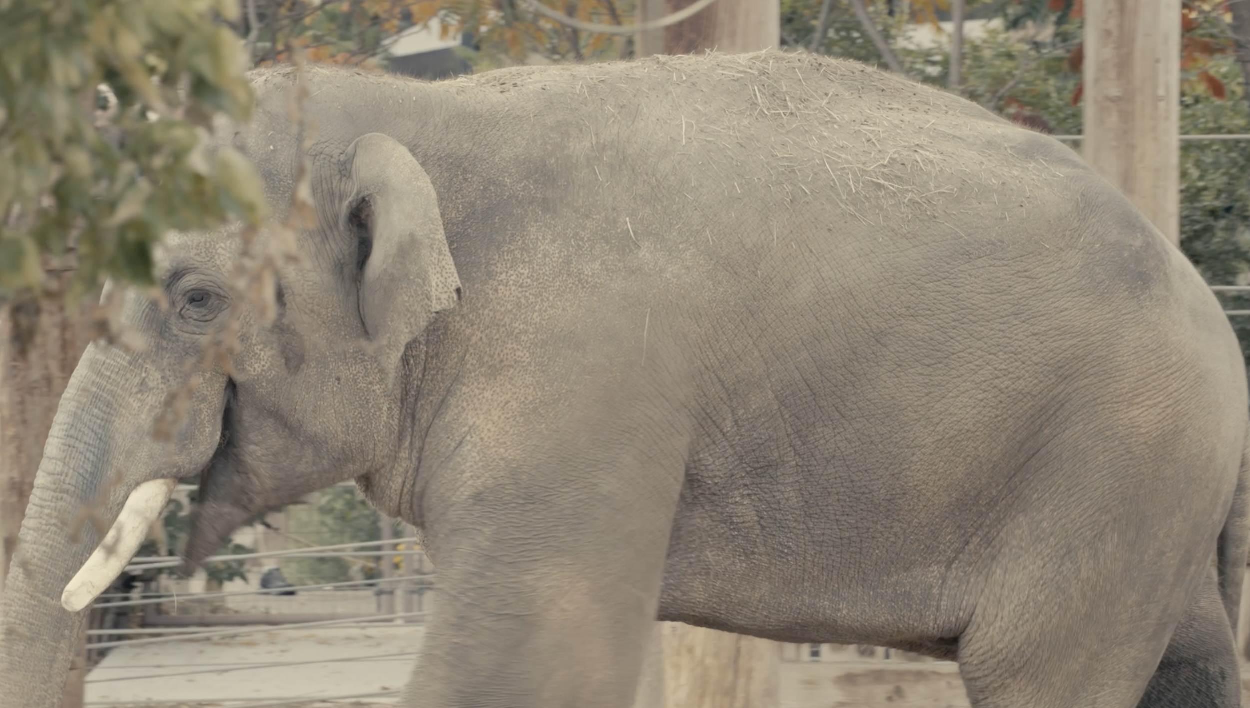 Screenshot 2026-02-02 at 2.47.11 PM.png