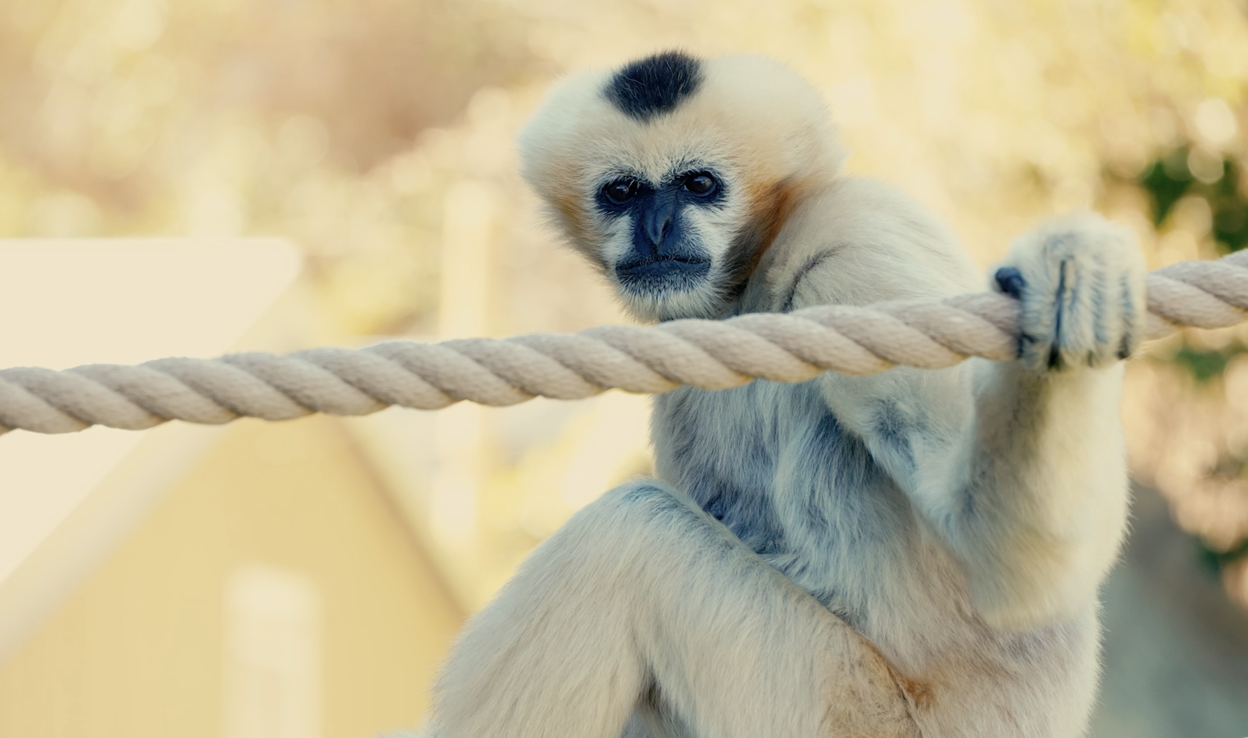 Screenshot 2026-02-02 at 2.44.26 PM.png