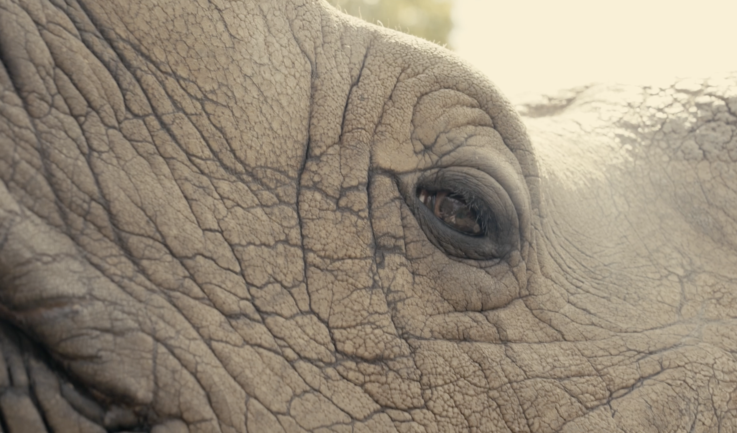 Screenshot 2026-02-02 at 2.43.30 PM.png