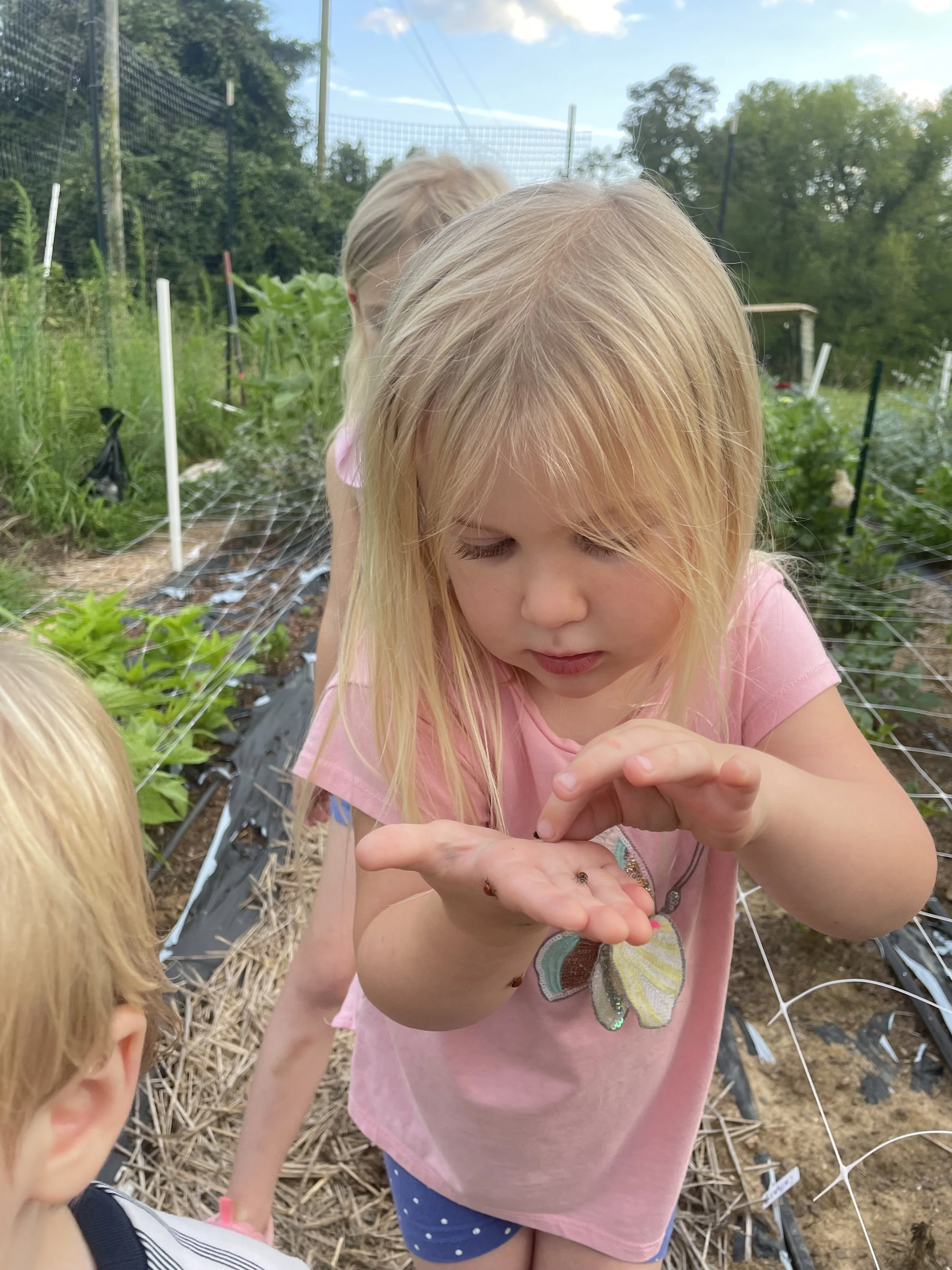 A Day in the Life on the Farm—with Kids in Tow
