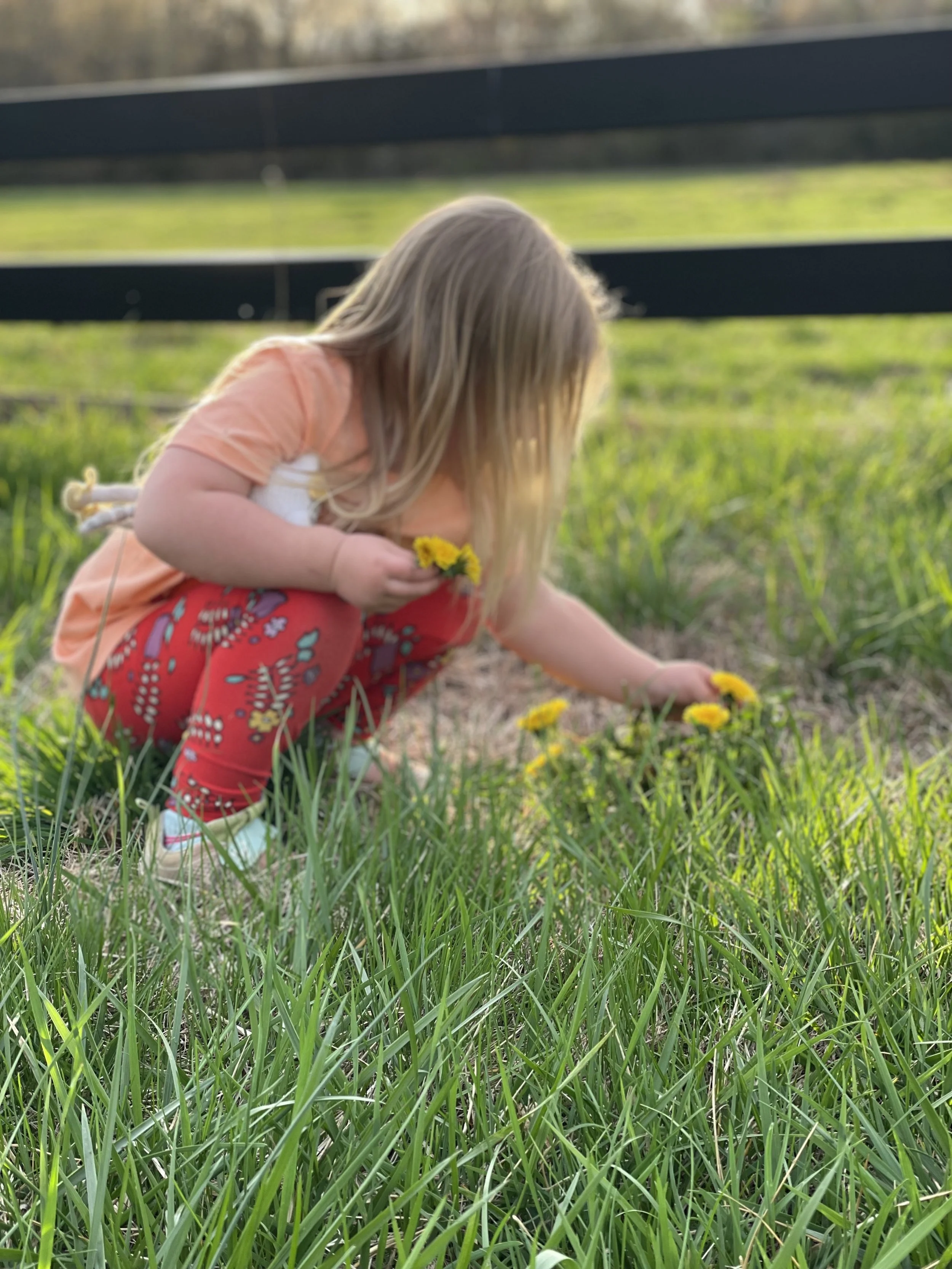 How My Flower Farm Helps Me Stay Present as a Mom