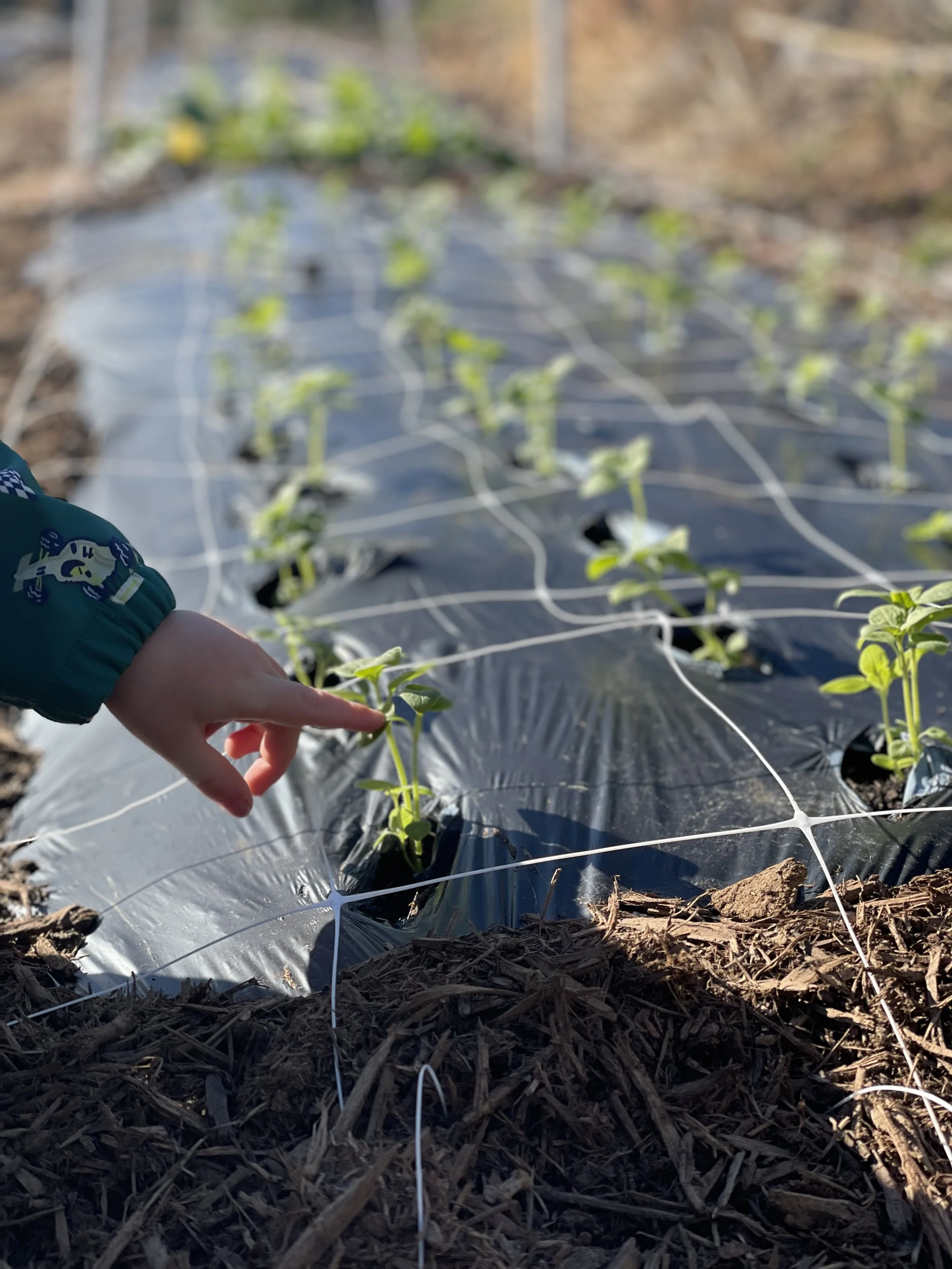 Reflections from the Year