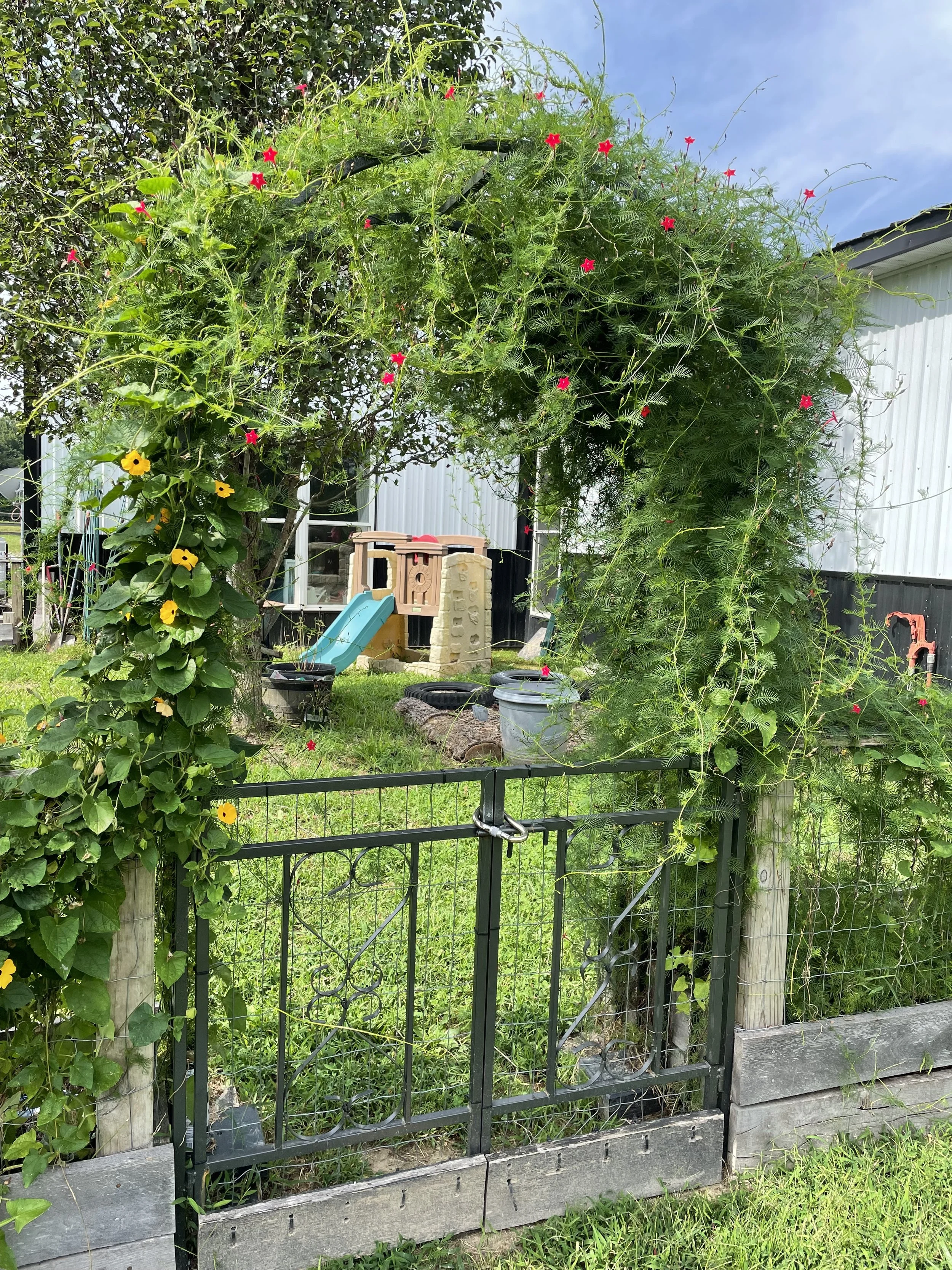 Creating a Sensory Garden for Children