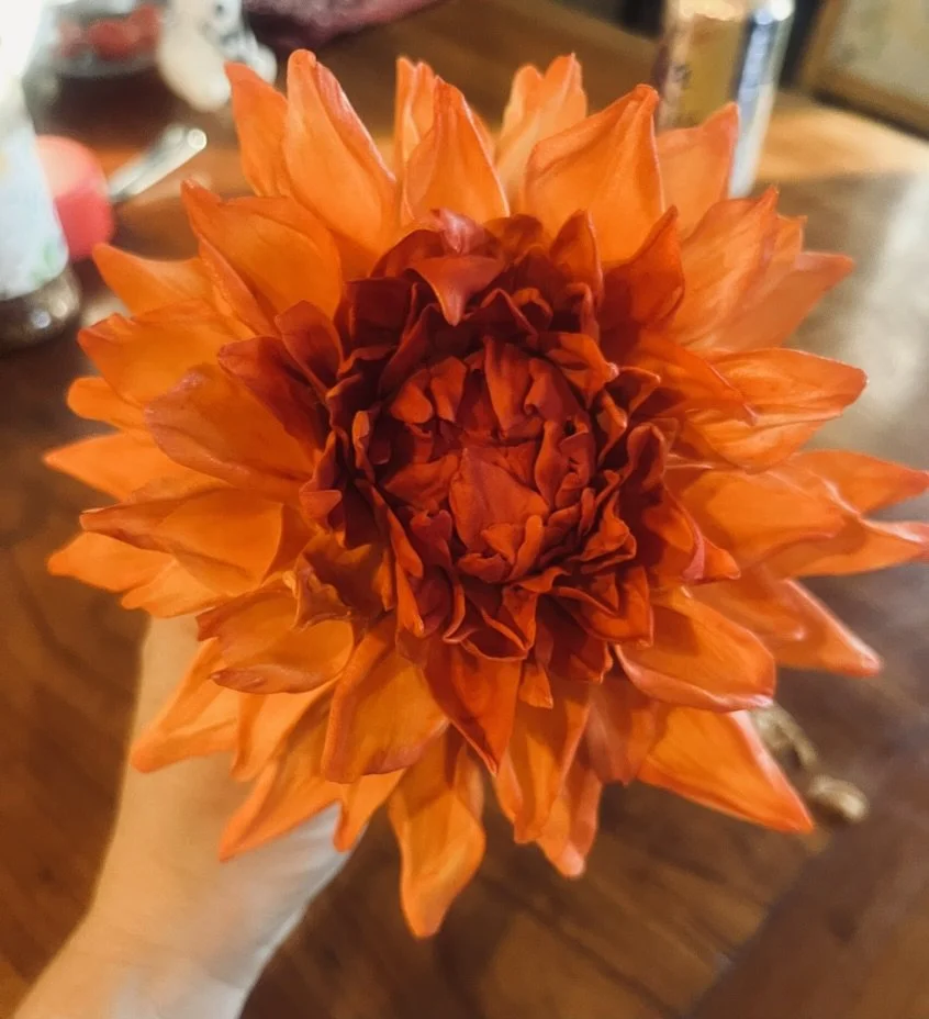Close-up of a vibrant orange dahlia flower with layered petals.