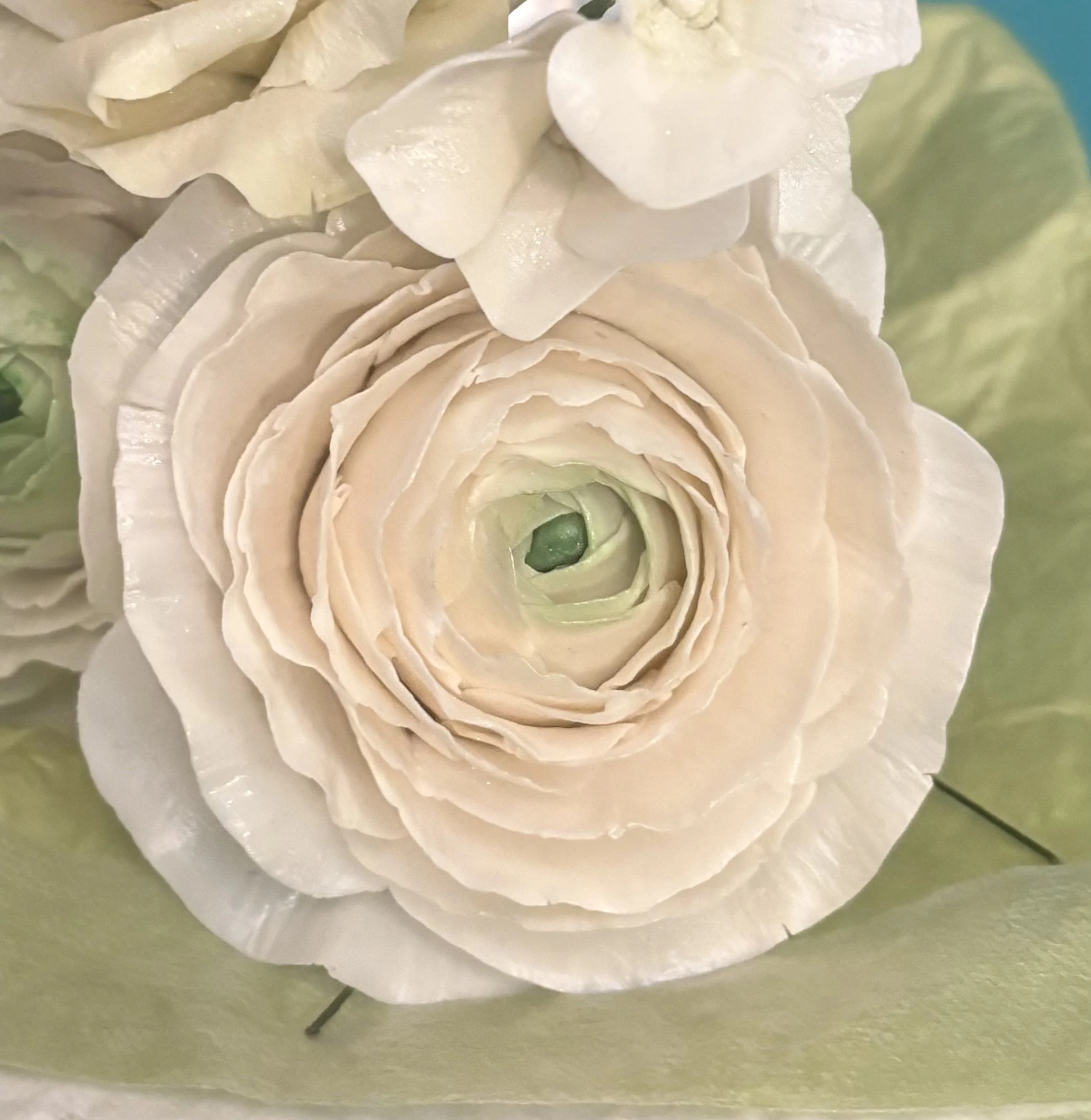 Close-up of a cream-colored ranunculus flower with layered petals, surrounded by green leaves and other flowers.