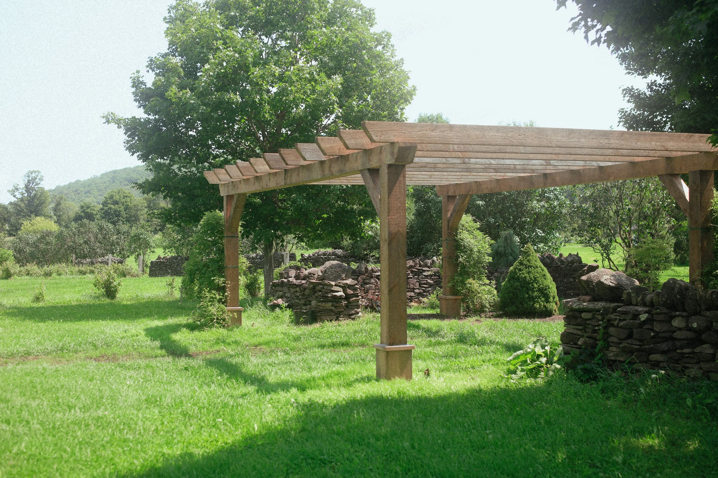 orchard_star-6.jpg