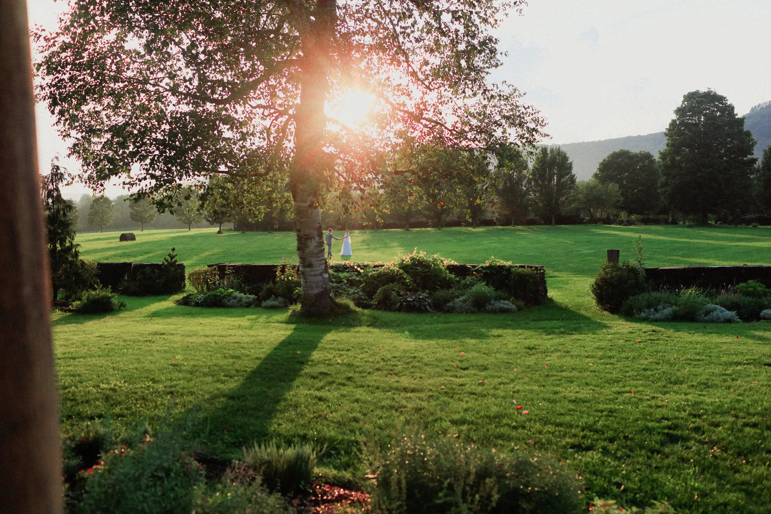 orchard_star-23.jpg
