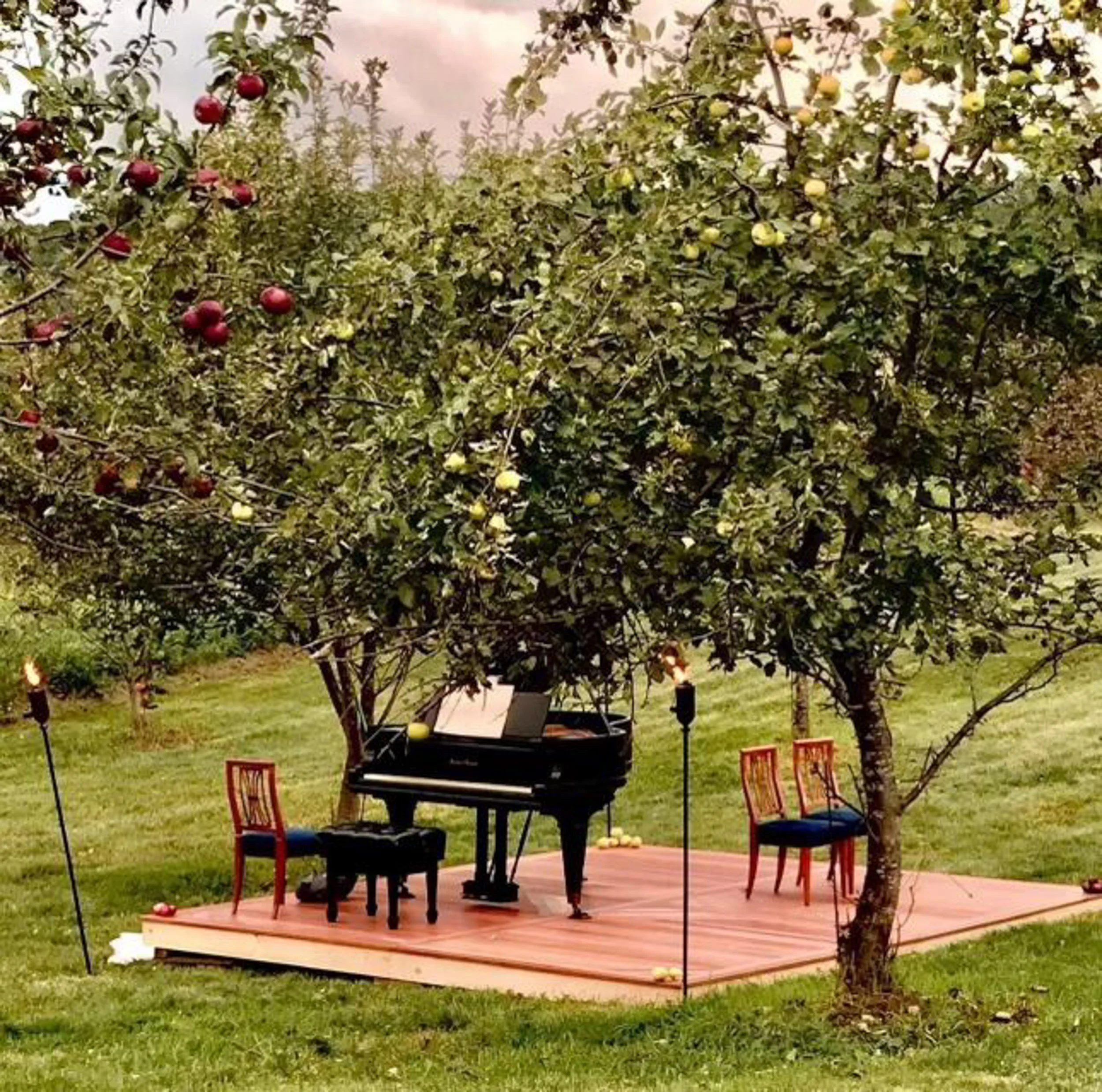 orchard_star-235.jpg