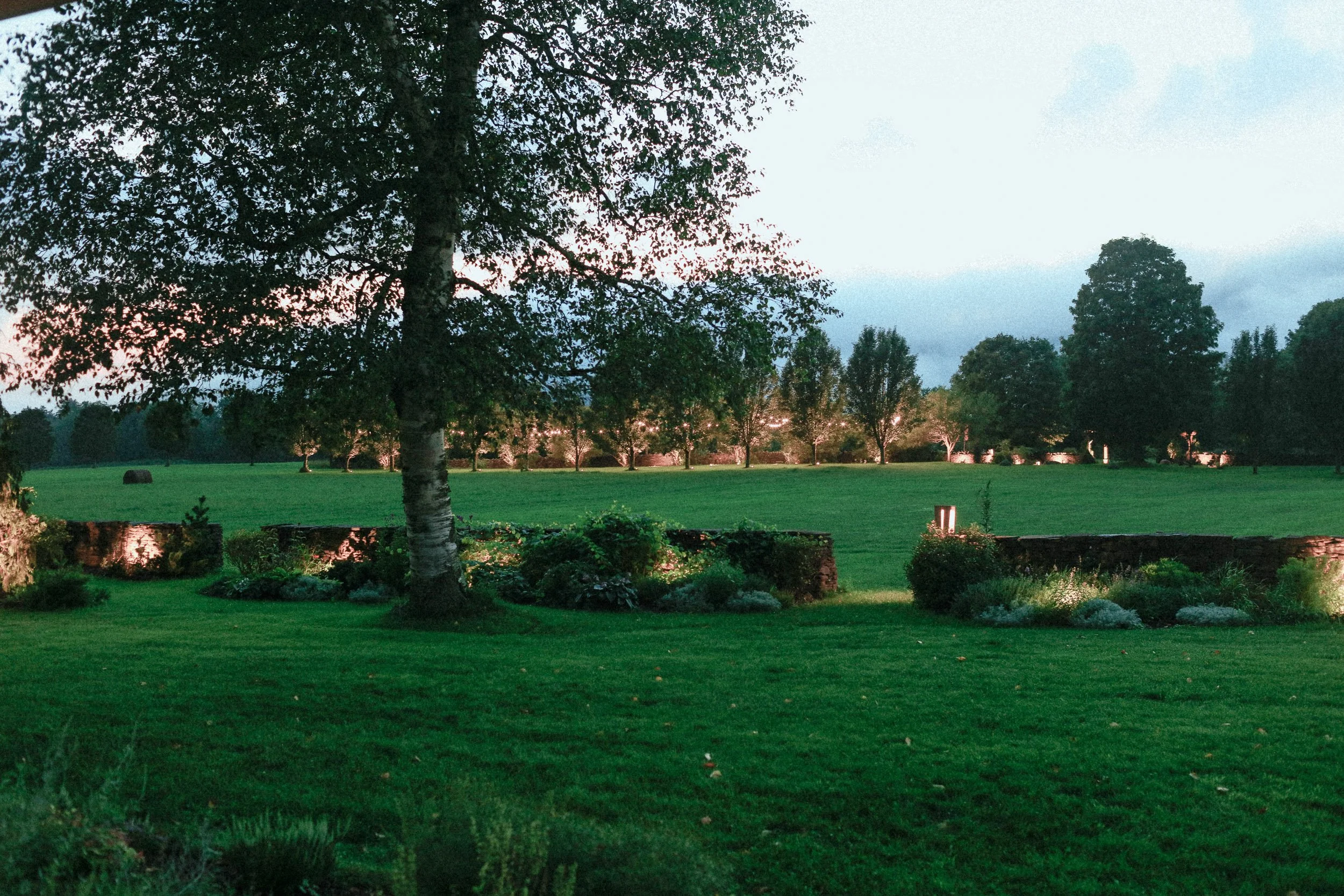orchard_star-2.jpg