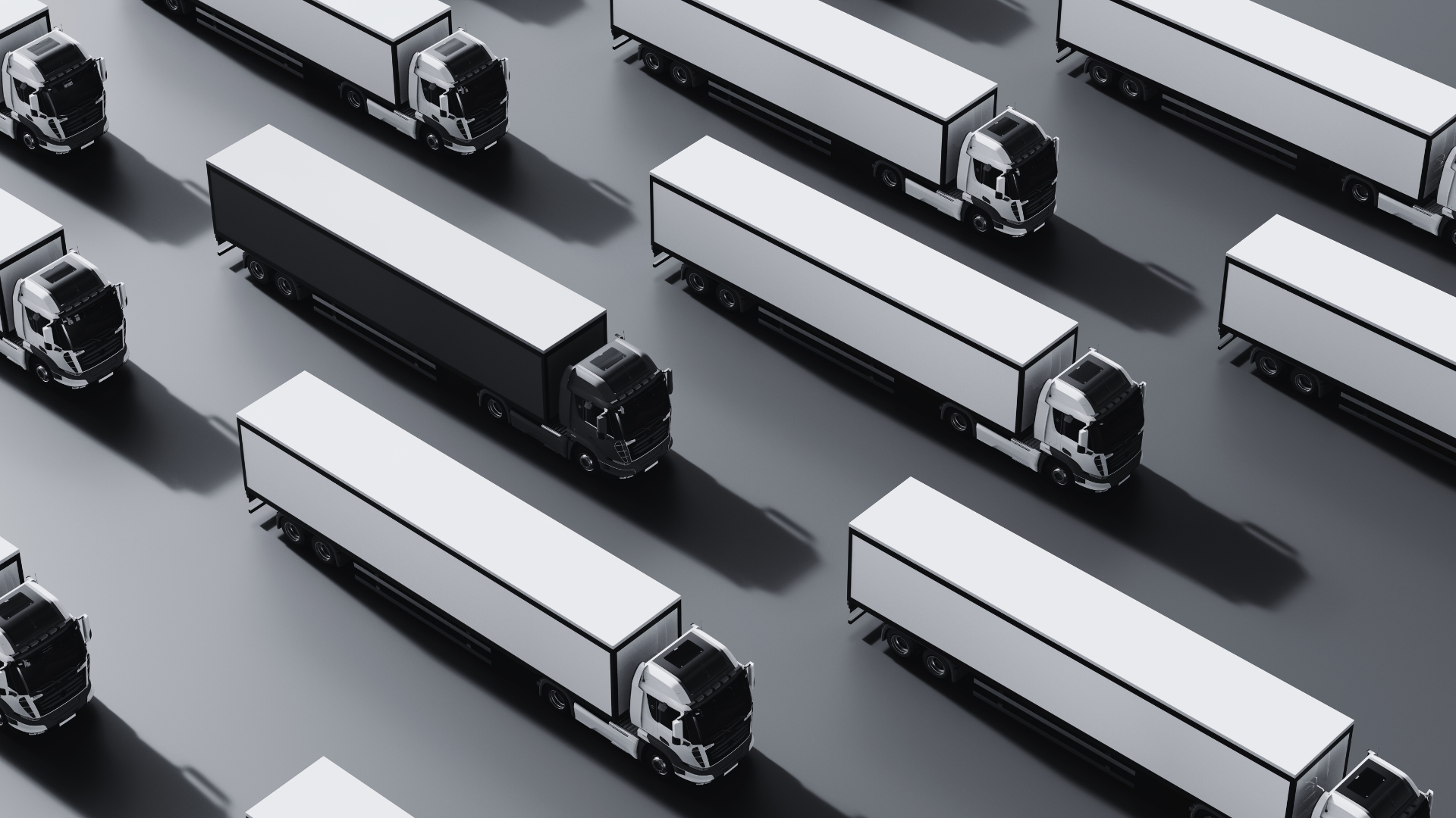 Multiple white semi-trucks with black cabs moving in parallel lanes on a highway, casting shadows on the gray road surface.