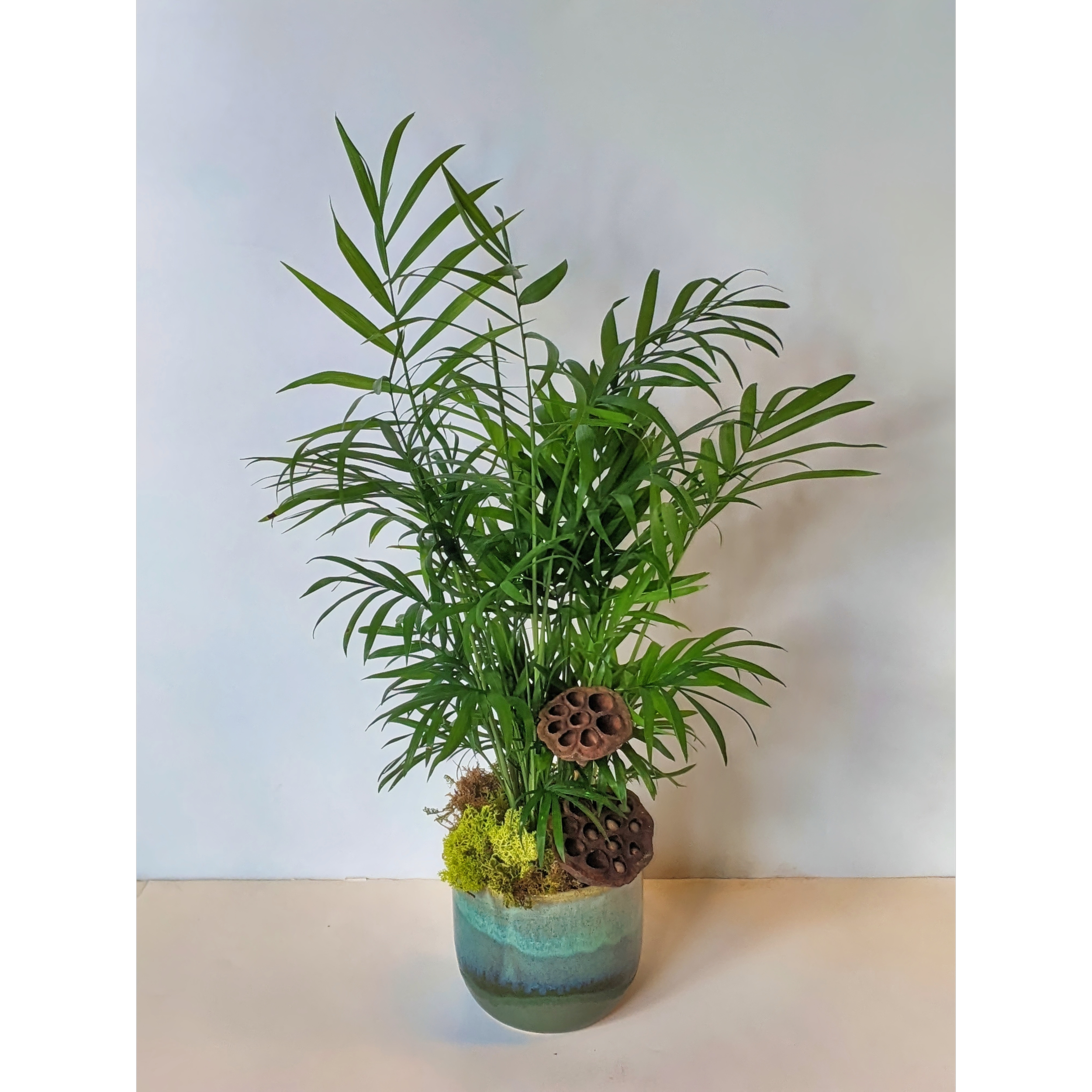 green plant in keepsake cropped final.png