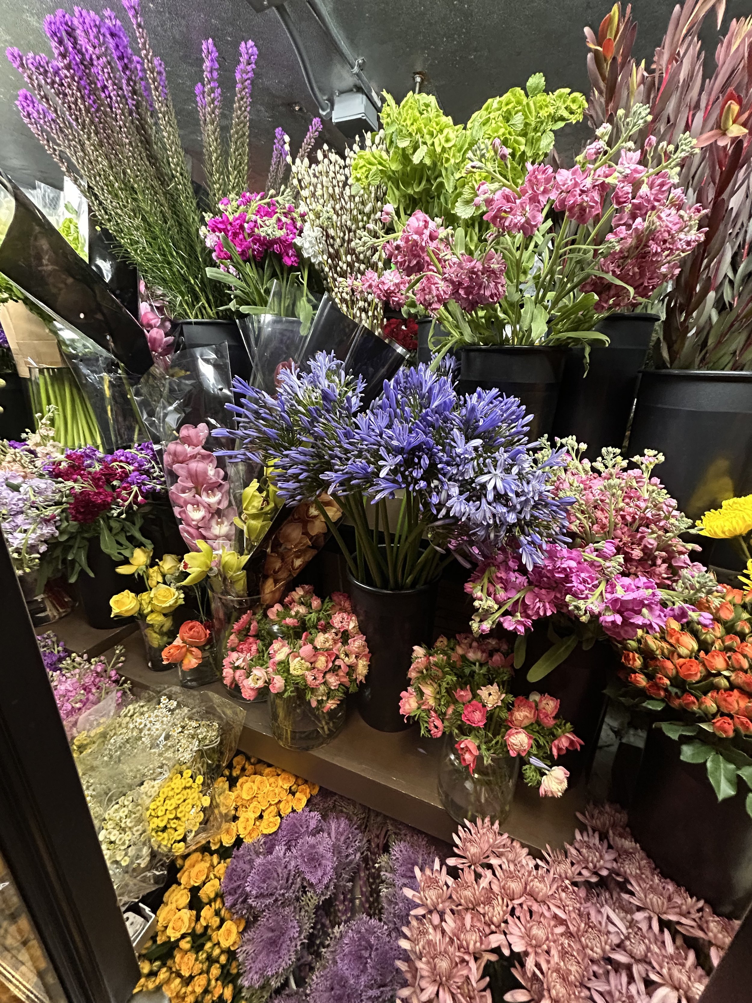 An image of the inside of a cooler featuring purple liatrus, pink anemones, yellow spray roses, purple kale, bells of Ireland, and more.
