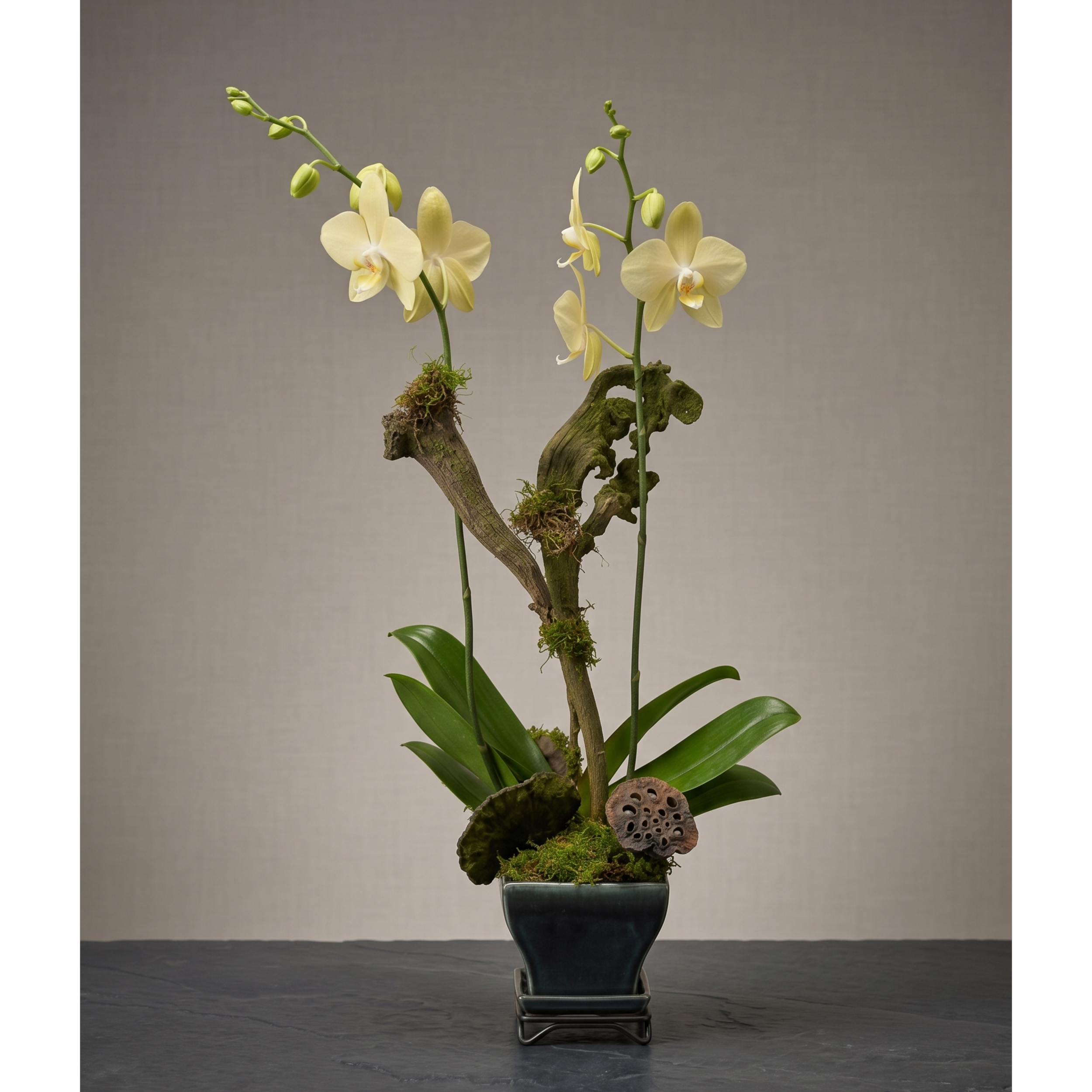 orchid yellow.png