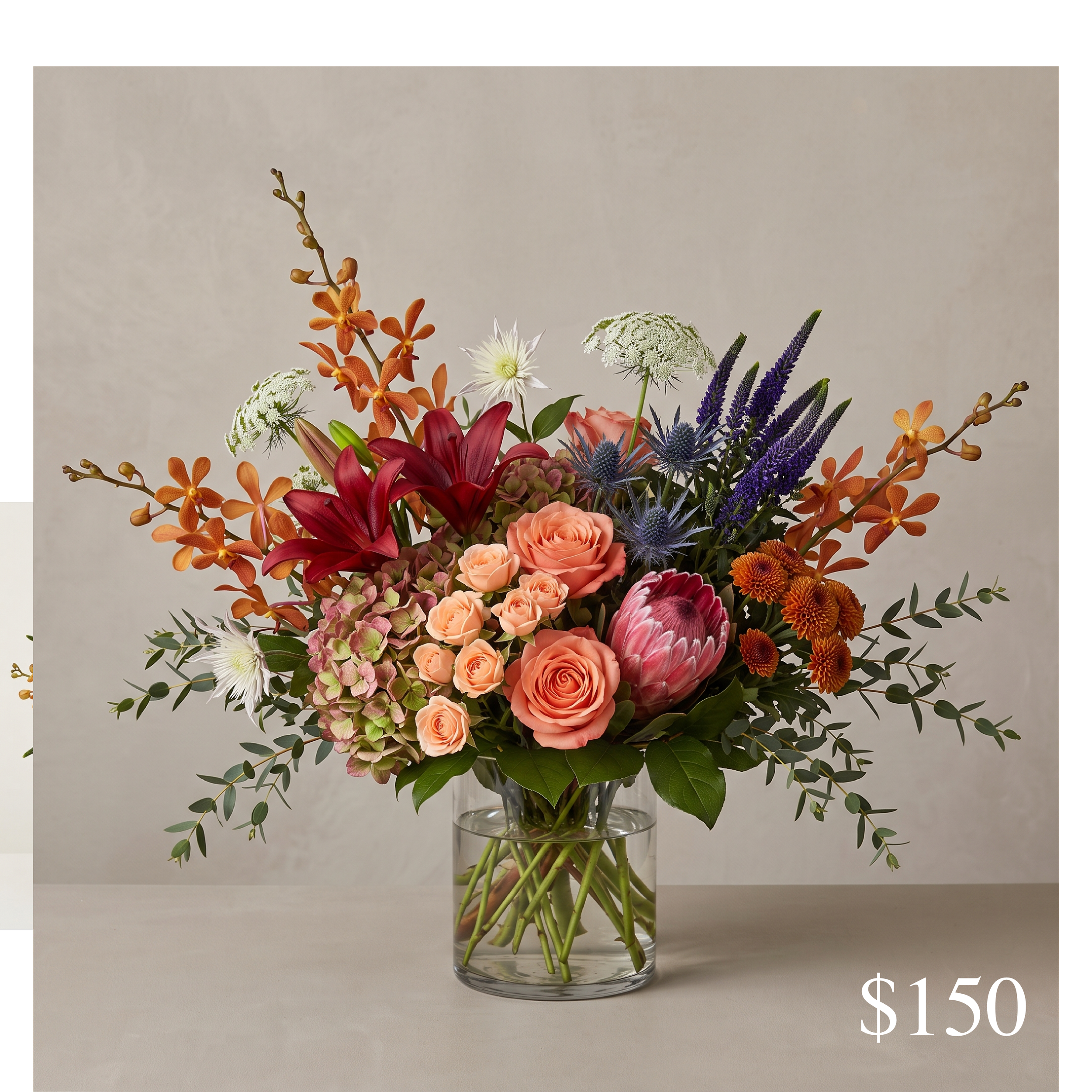 regal autumn 150.png