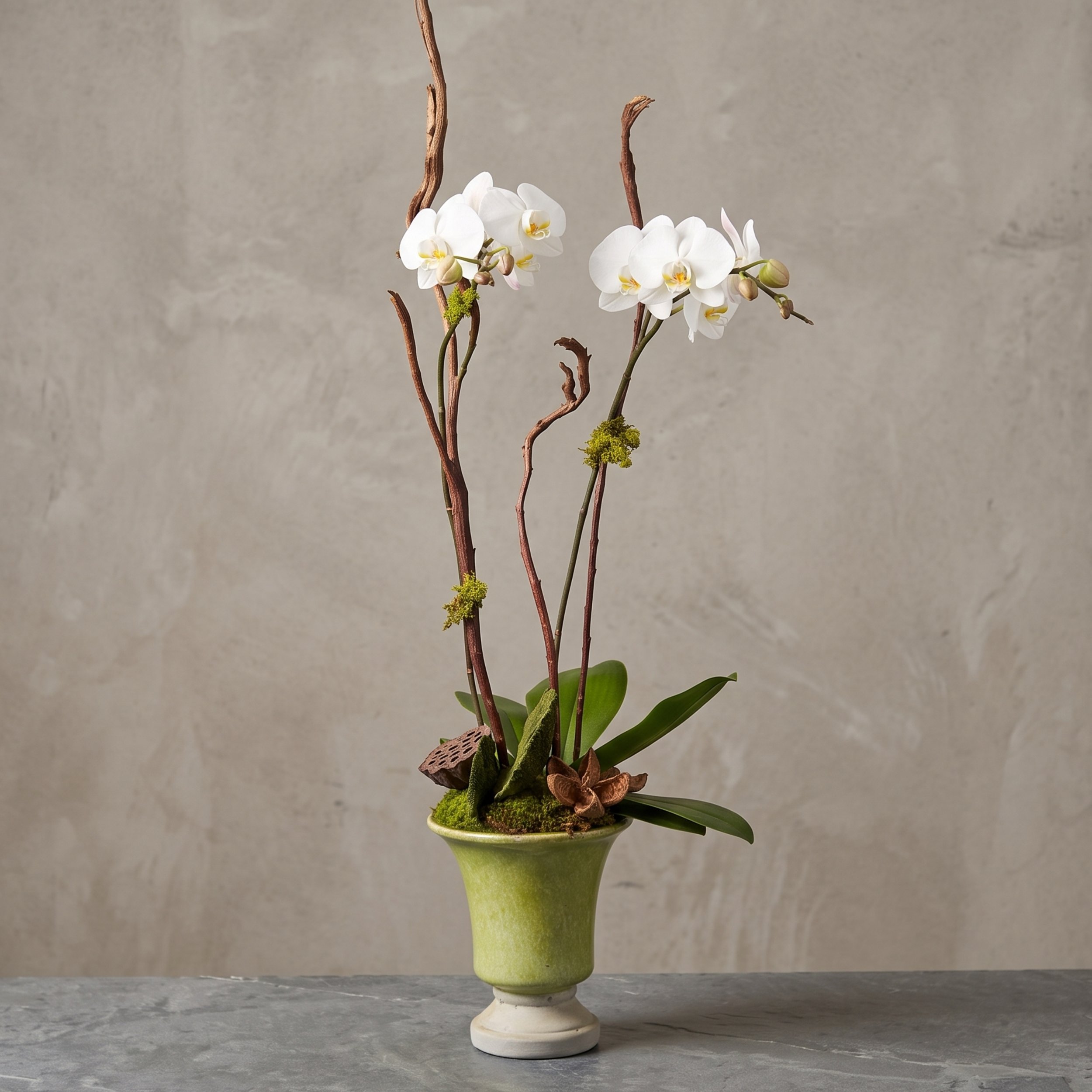 green pedestal orchid white.jpg