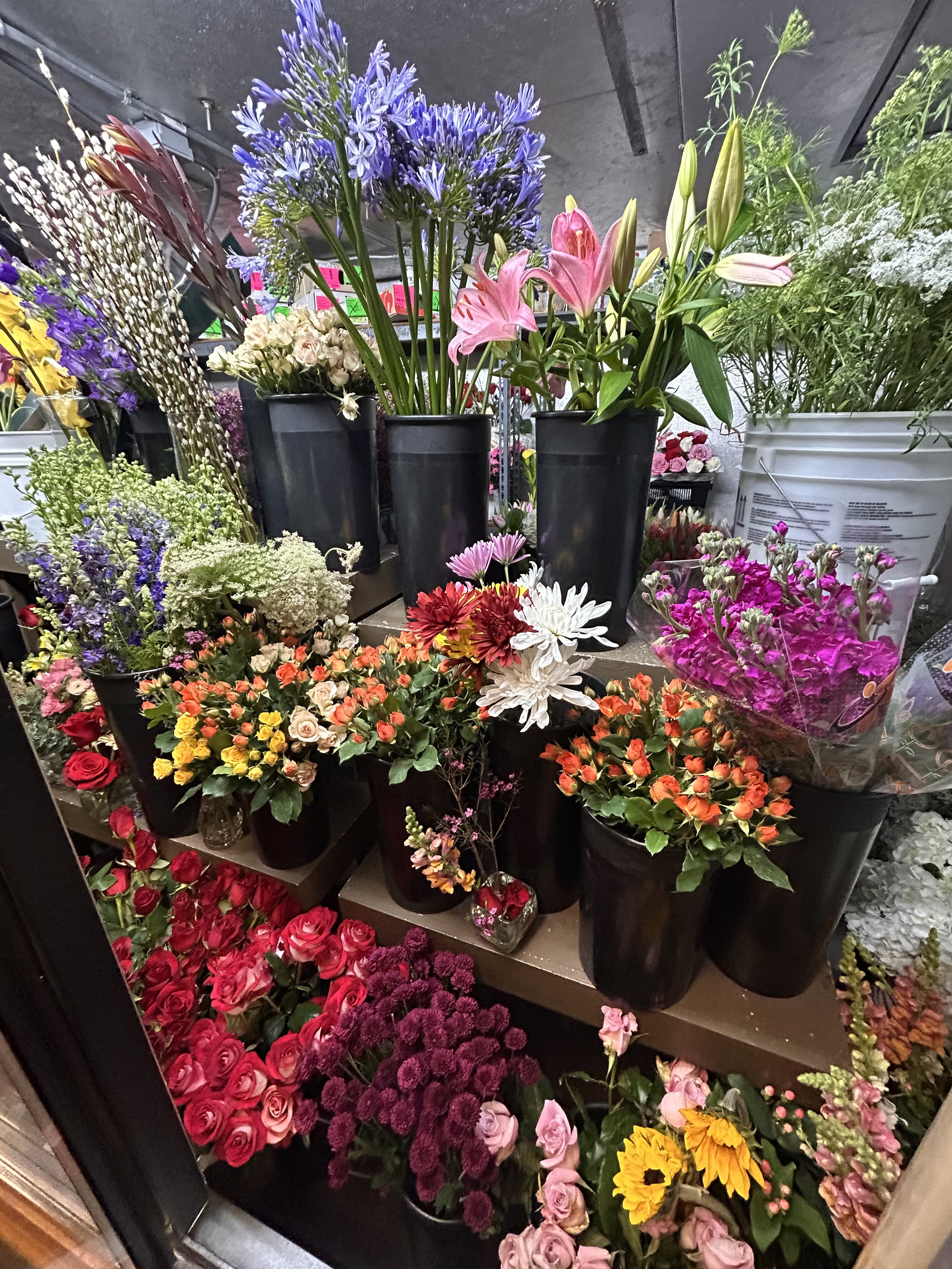 Image of a flower cooler featuring pink stock, queen annes lace, agapanthus, pink lilies, roses, button mums, pussy willow, safari sunset luecadendron, orange spray roses, cymbidium orchids, larkspur, and more