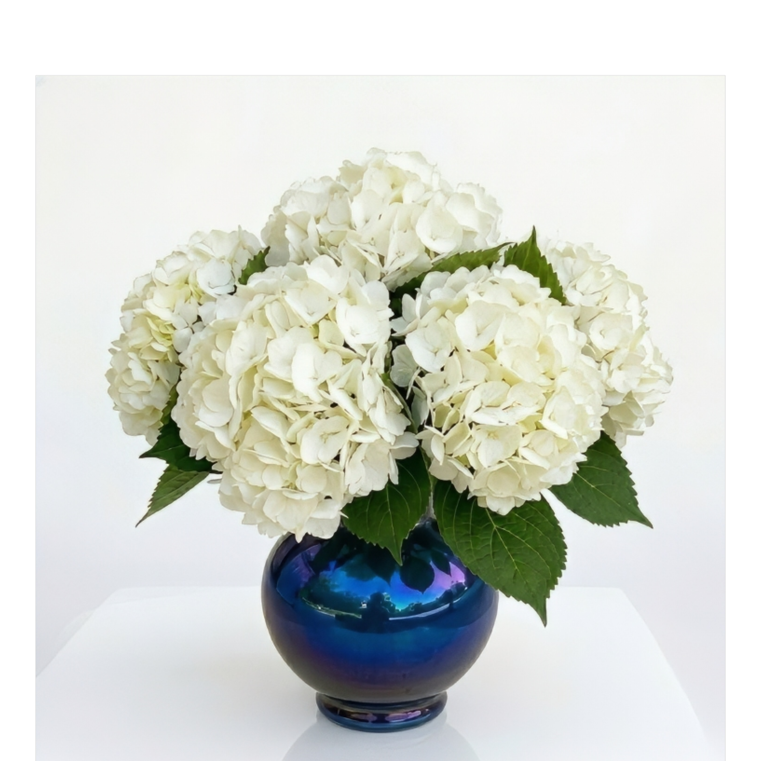 Blue Pearl Keepsake Arrangement - $95-$110