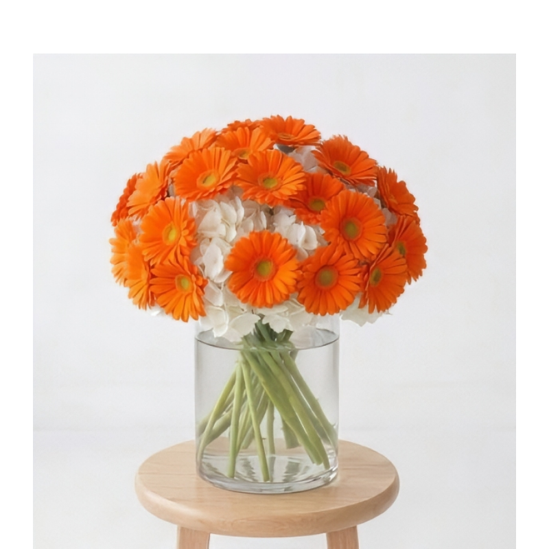 gerb your enthusiasm orange 20 gerbs.png