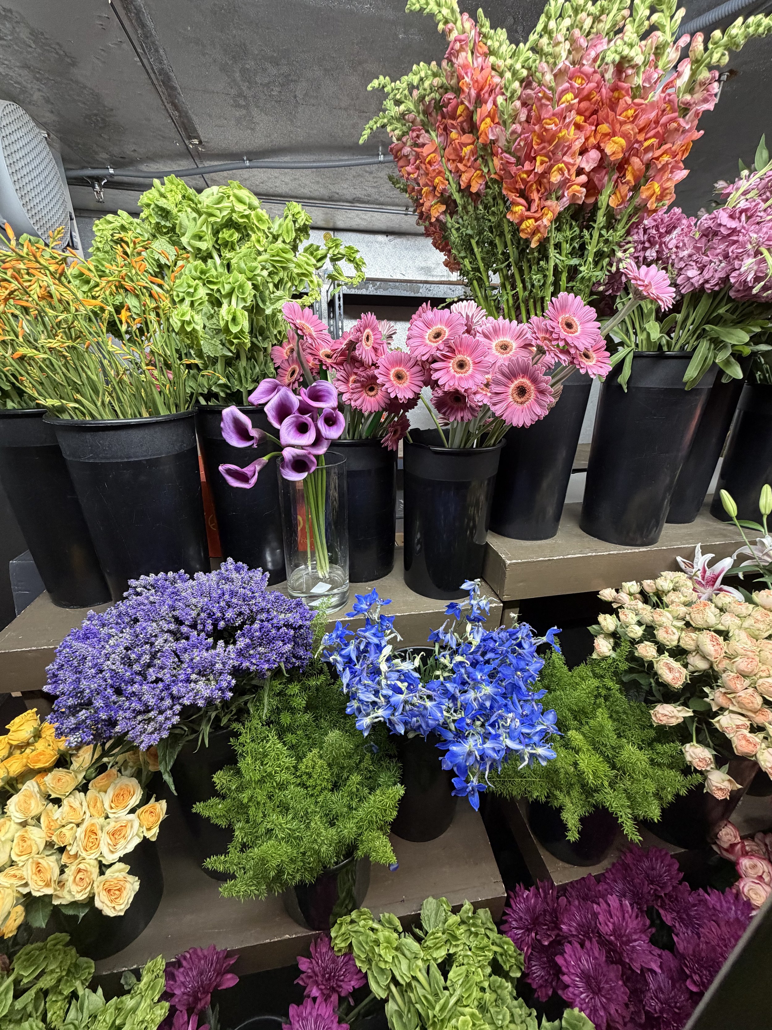 Various colorful flowers in black pots, including pink gerbera daisies, purple calla lilies, purple asters, blue iris, and cream roses, arranged on counters in a floral shop.