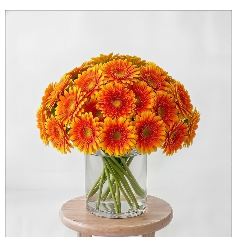 Gerb Your Enthusiasm - $45-$160