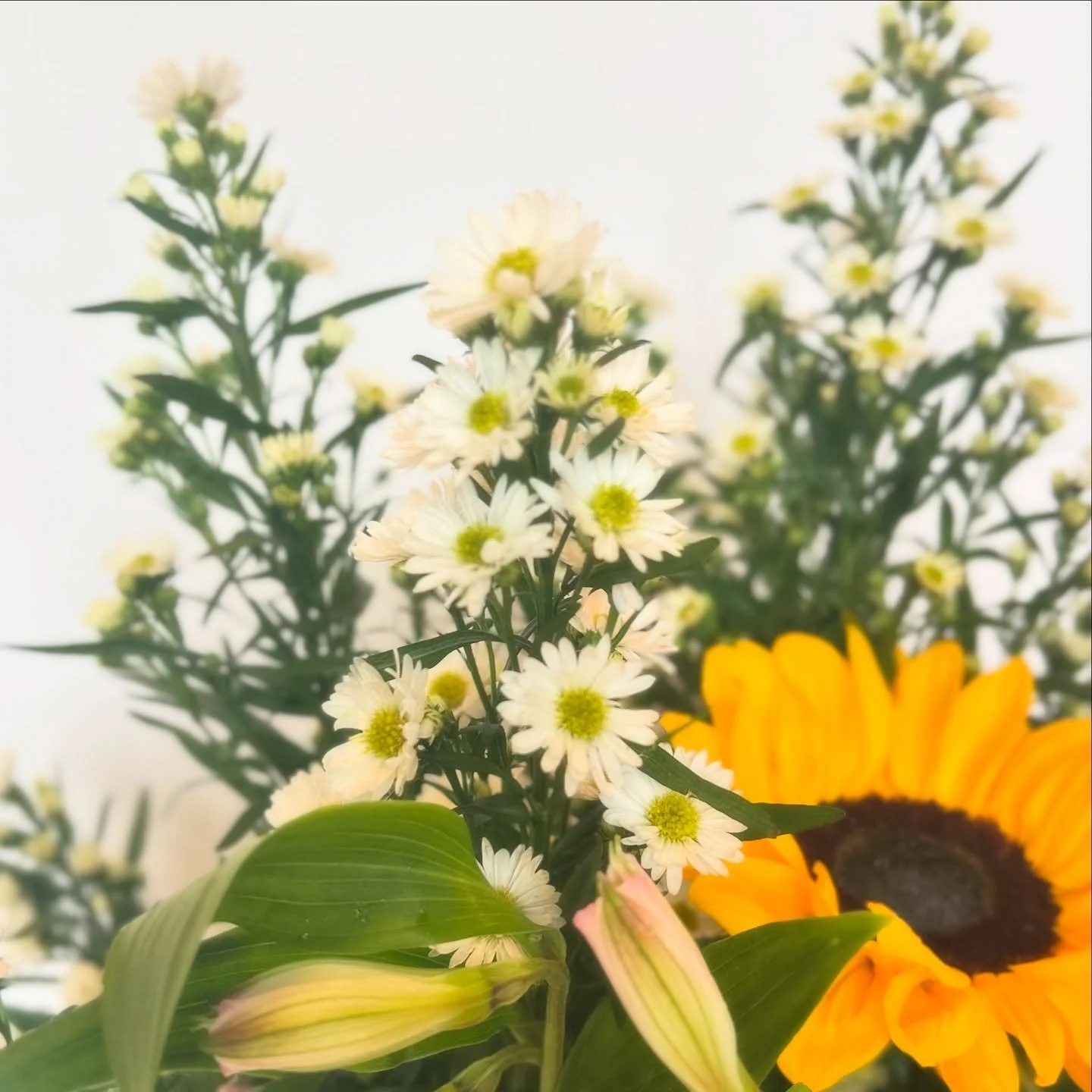 ✨ September&rsquo;s flower of the month, the aster, symbolizes love and patience. We&rsquo;ve paired it with cheerful sunflowers and soft alstroemeria for the perfect early fall mix. 🌻💜

Send this to someone born in September, or to that friend who