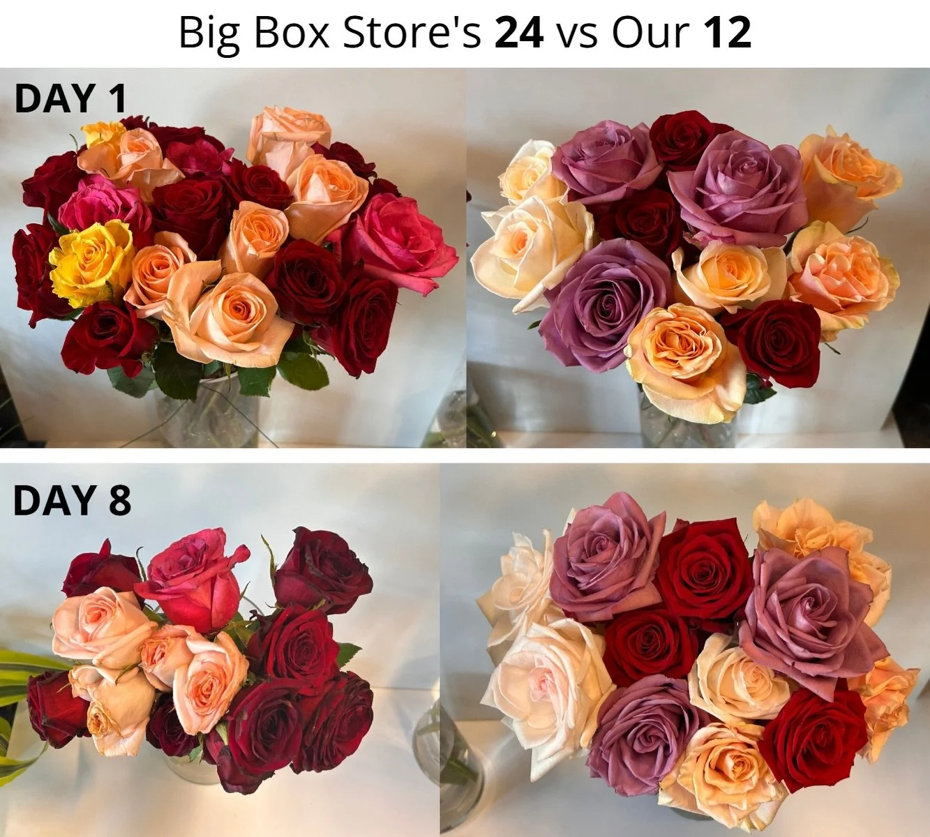 Why do our customers come back year after year and pay more for our roses? They know!! 

14 days&hellip; head-to-head. 🌹

Can you believe this is 24 of their roses and 12 of ours??

The difference is in the details:
✨ Our rose heads are nearly doubl