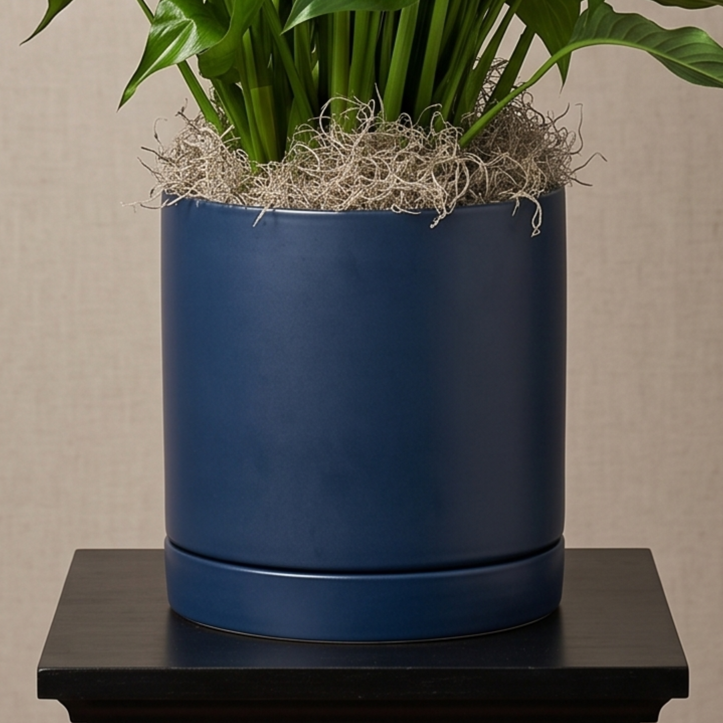 peace lily ceramic pot - close up.png
