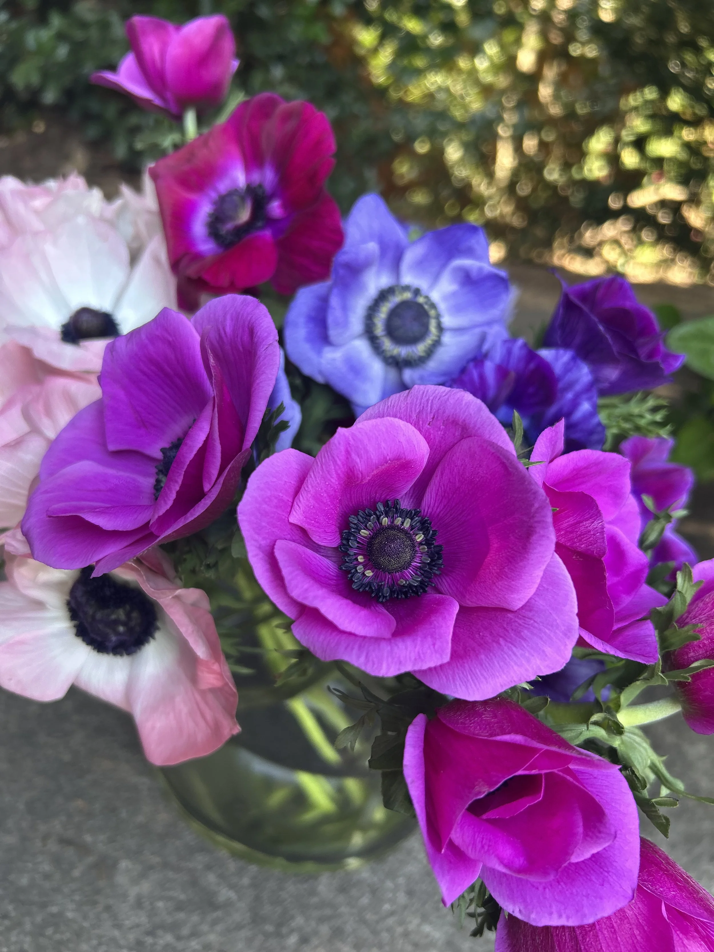 Close-up of a bouquet of colorful anemone flowers in shades of pink, purple, and pale pink in a glass vase outdoors.