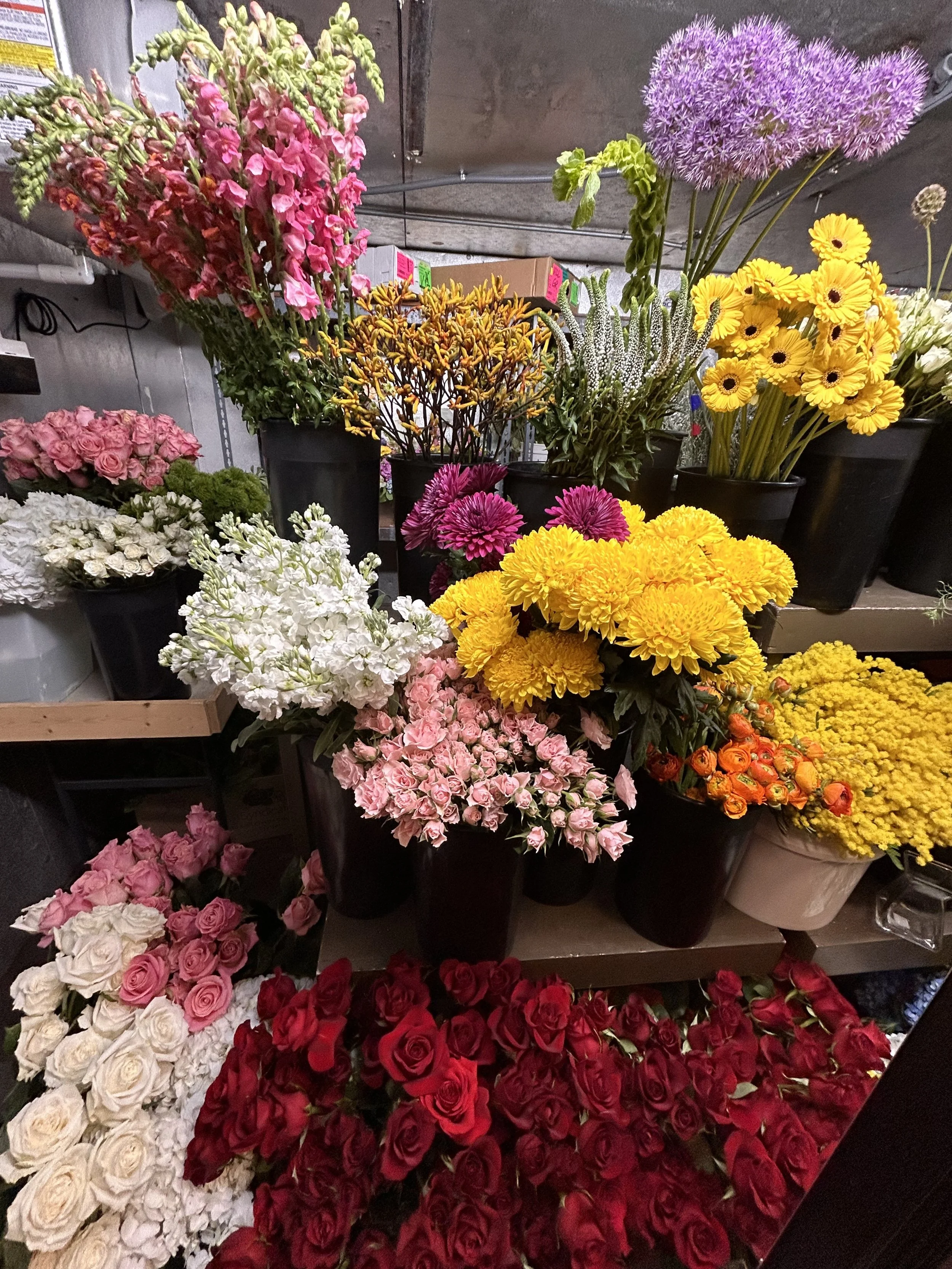 Various colorful flowers in black pots arranged on shelves, including pink, white, yellow, purple, and red roses and other blossoms.