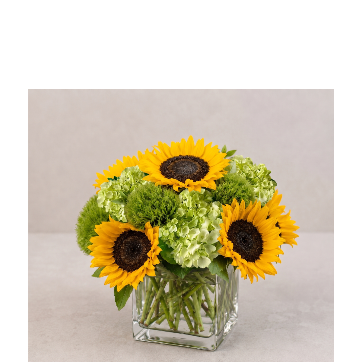 sunflower verde small(1).png