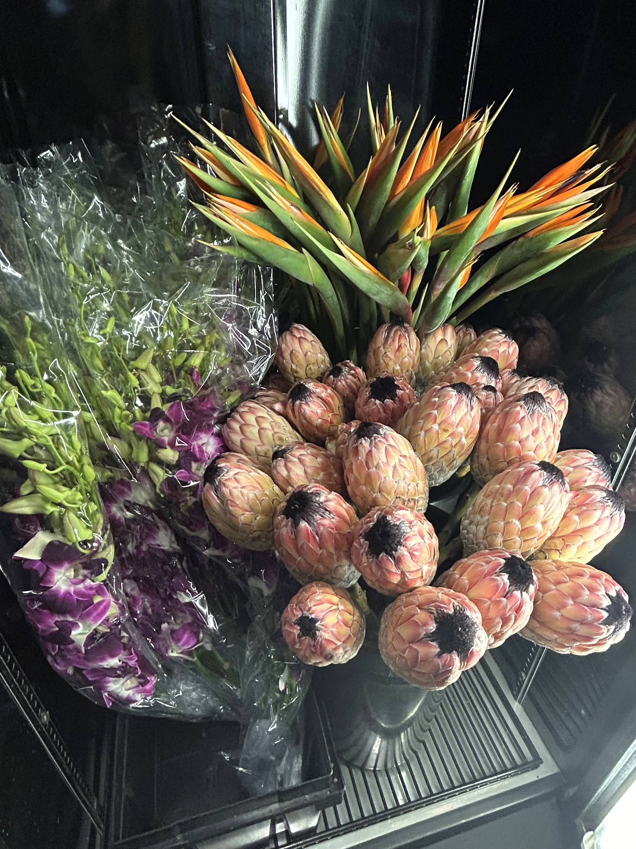 A shot inside a tropical cooler featuring proteas, birds of paradise, and dendrobium orchids.