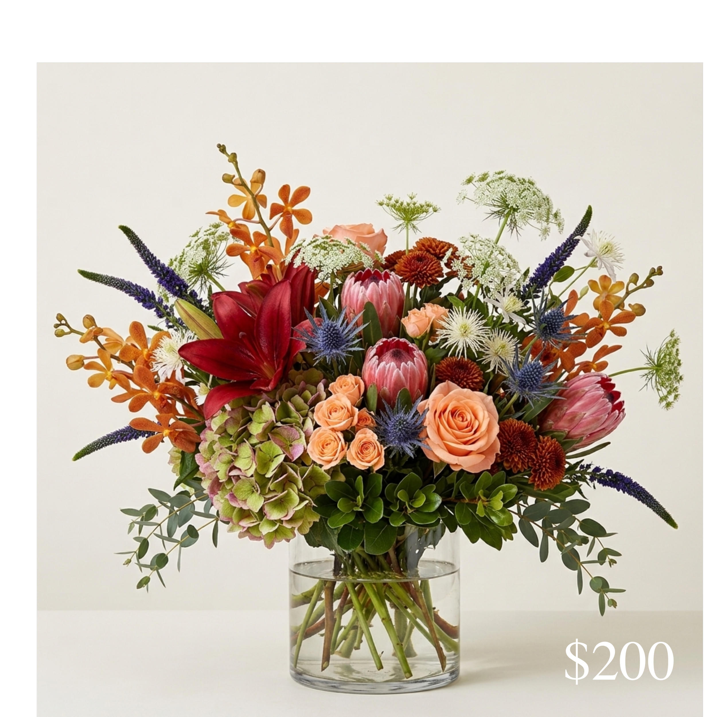 regal autumn 200.png