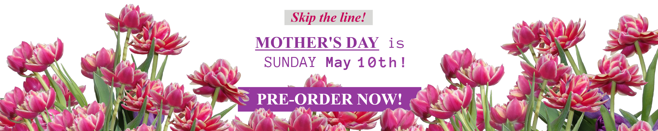 mothers day banner realistic final(1) 2026.png