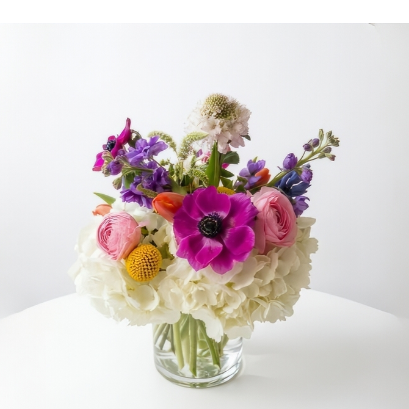 spring fling update 2026.png