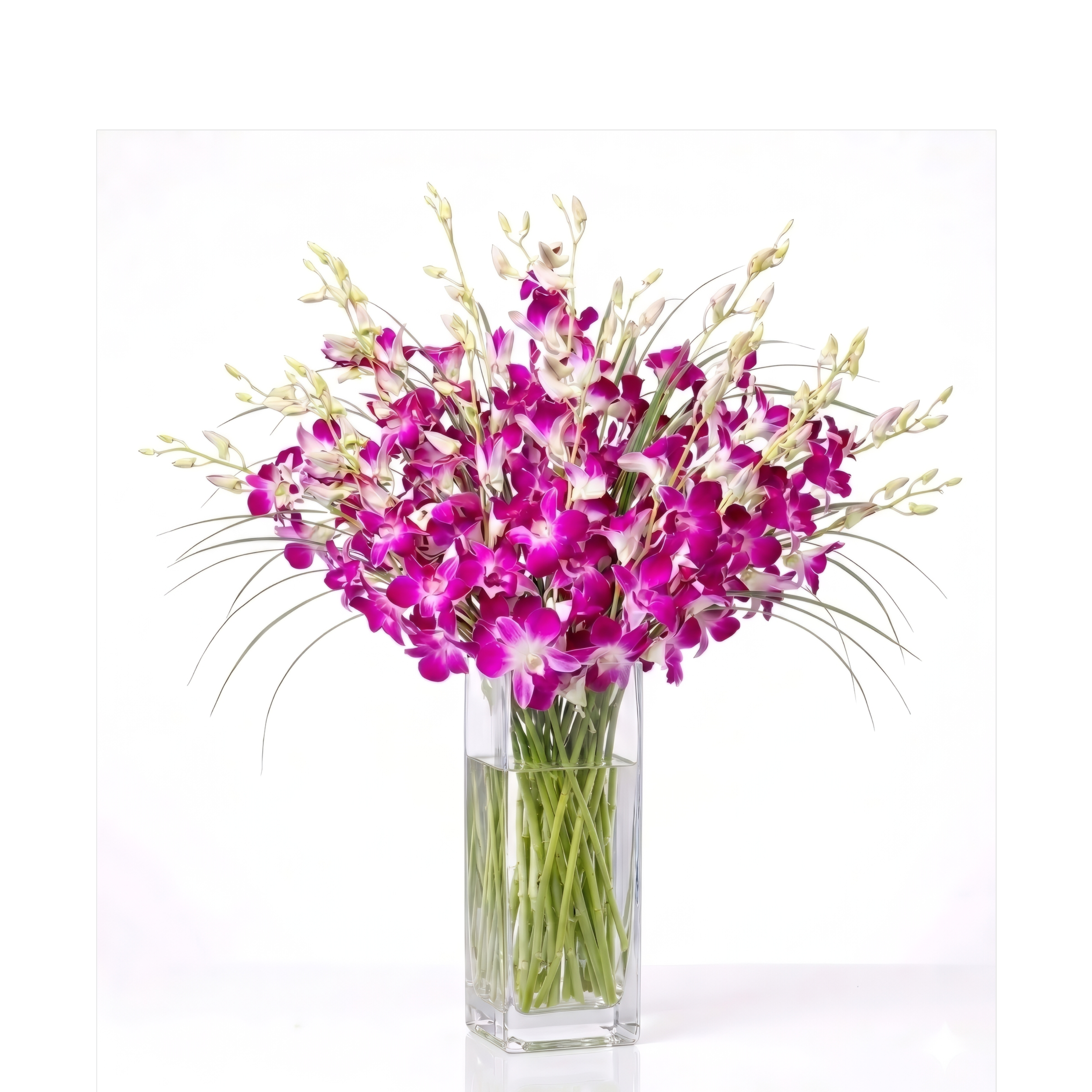 dendrobium-orchid-arrangement.png