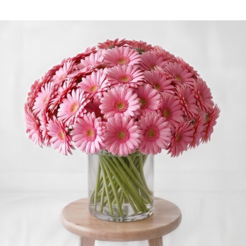 gerb your enthusiasm 60 medium pink gerberas final.png