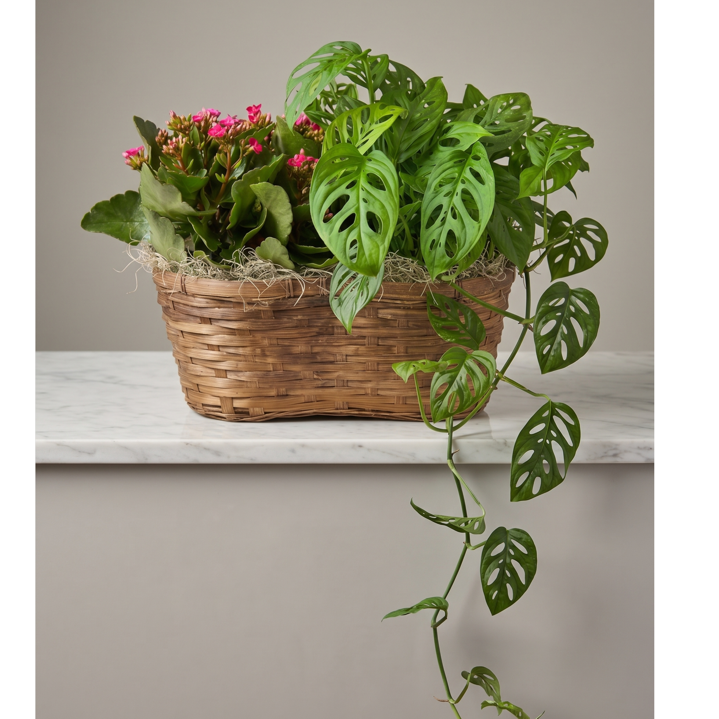 triple basket with kalanchoe.png
