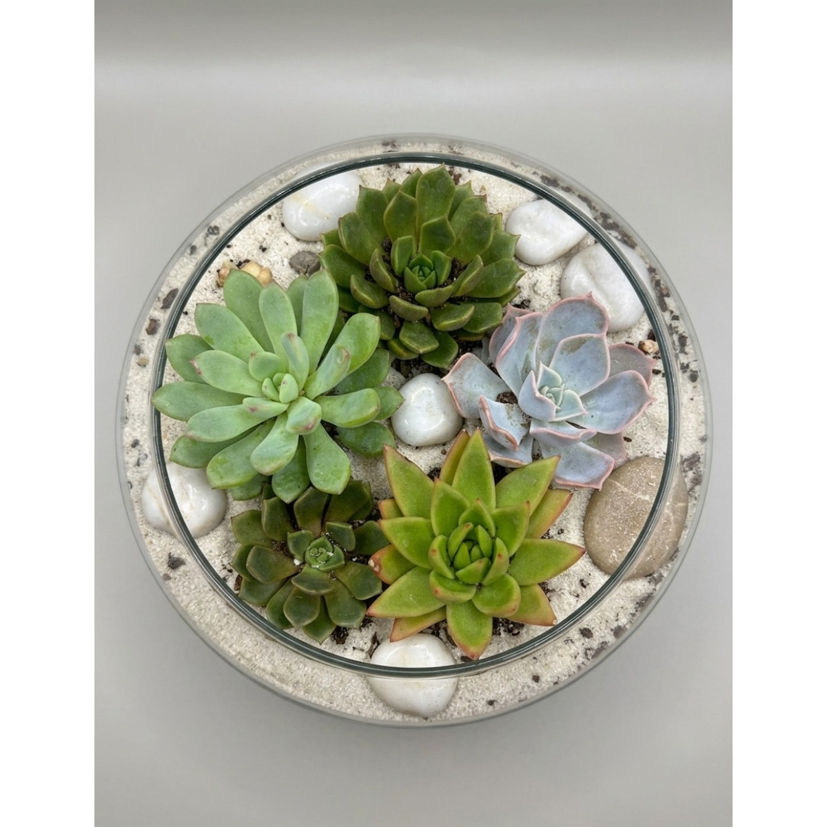 succulant garden UFO vase overhead view.png