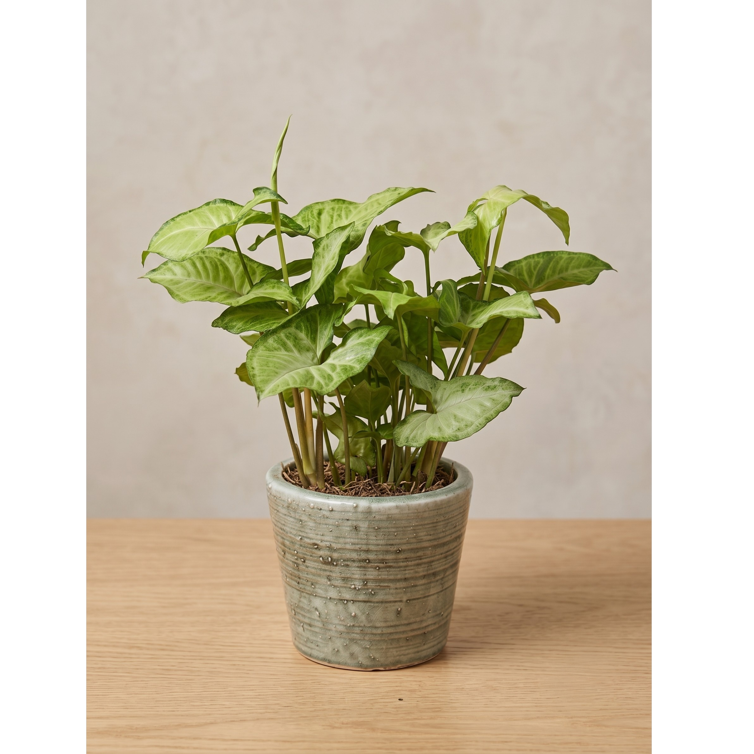 striped blue planter 2.png