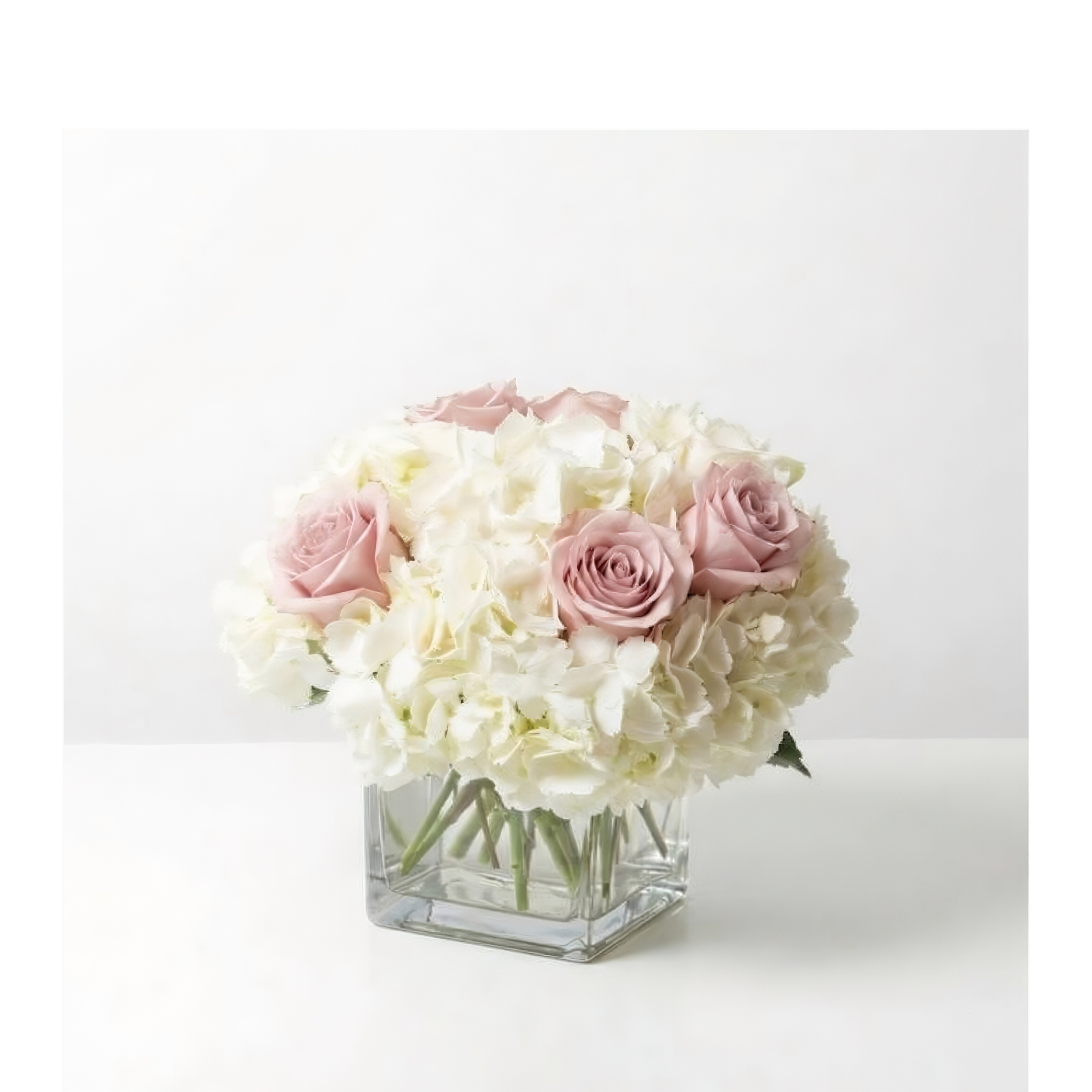 Roses and Hydrangeas in a cube small.png (Copy)