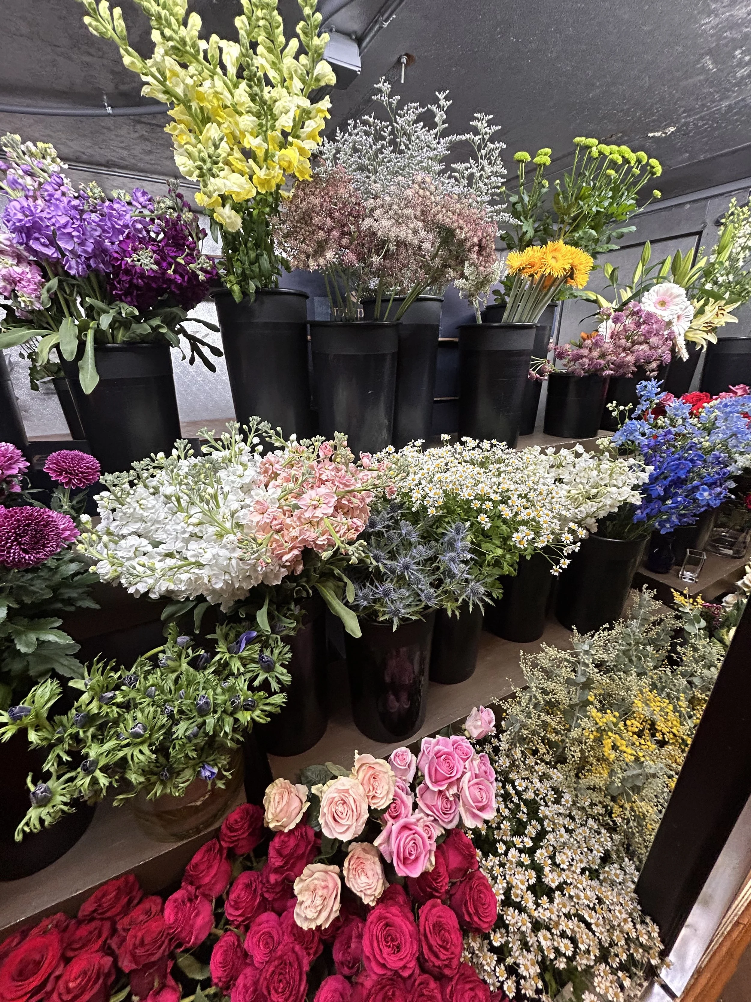 A variety of colorful flowers in black vases arranged on shelves, including roses, daisies, snapdragons, and other blooming flowers.