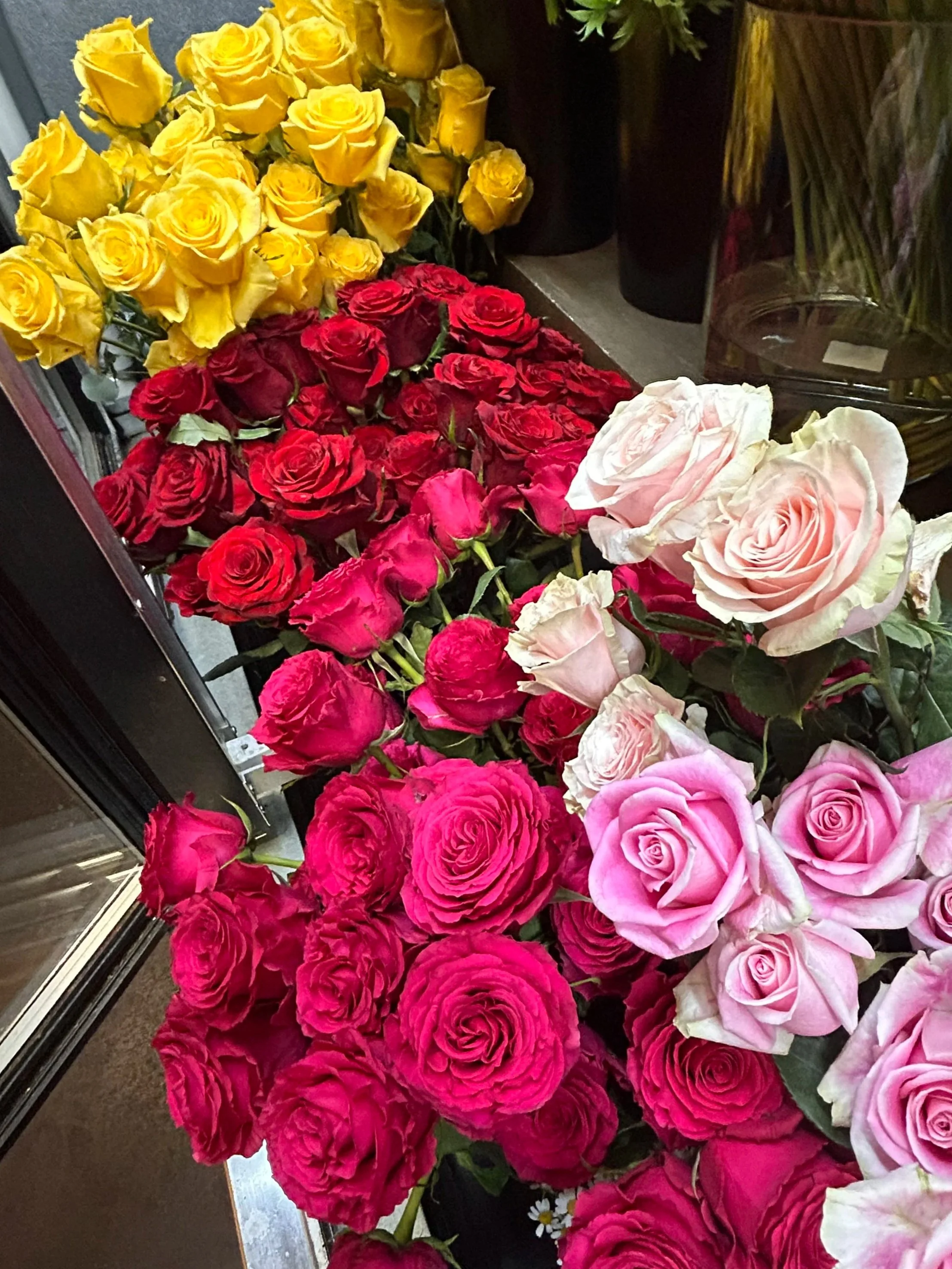A display of yellow, red, white, and pink roses arranged inside a floral cooler in a row.