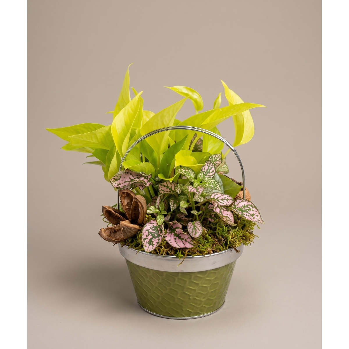 small dishgarden - $60(1).png