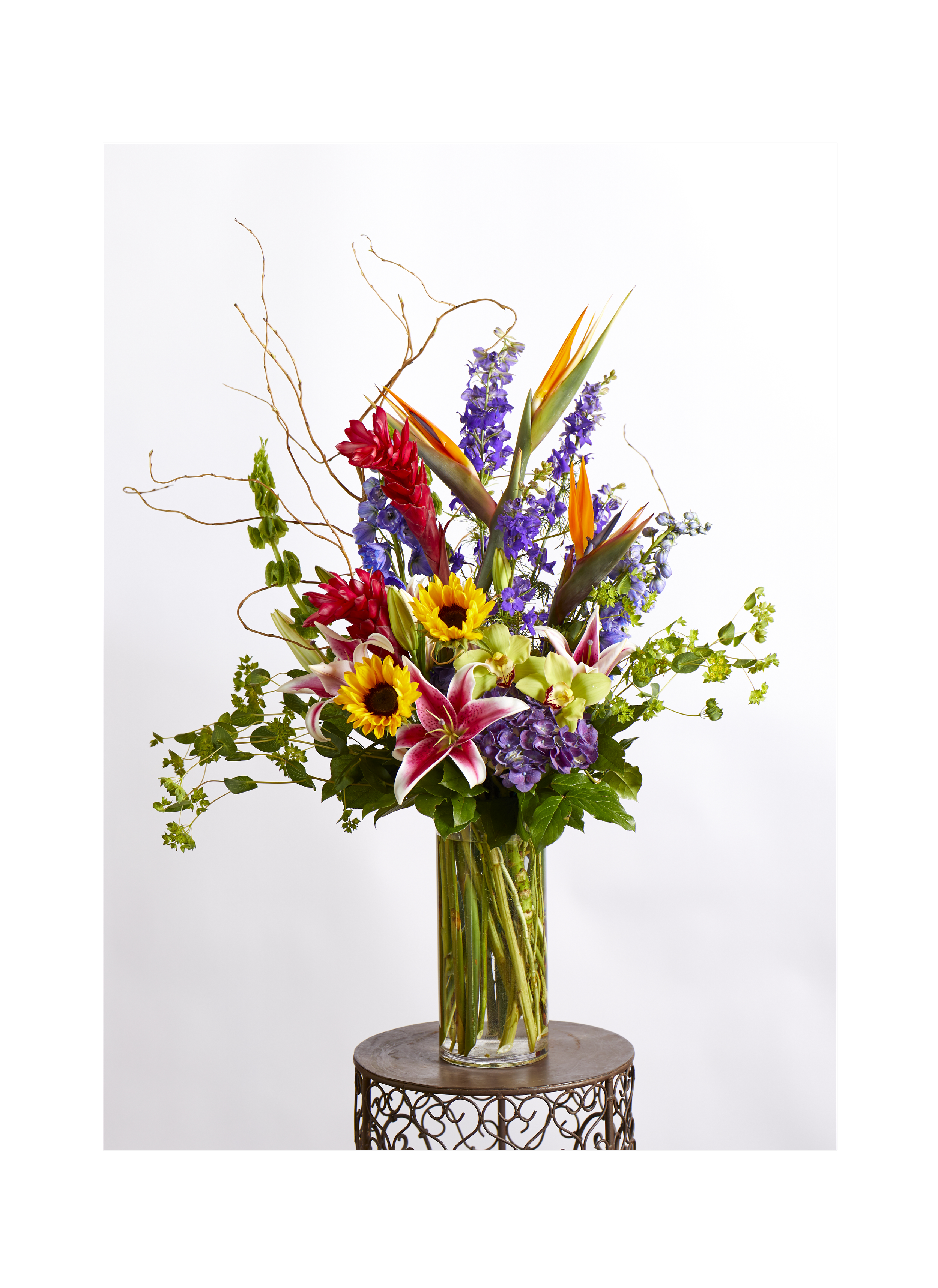 Dutch Tropical - $150-$350