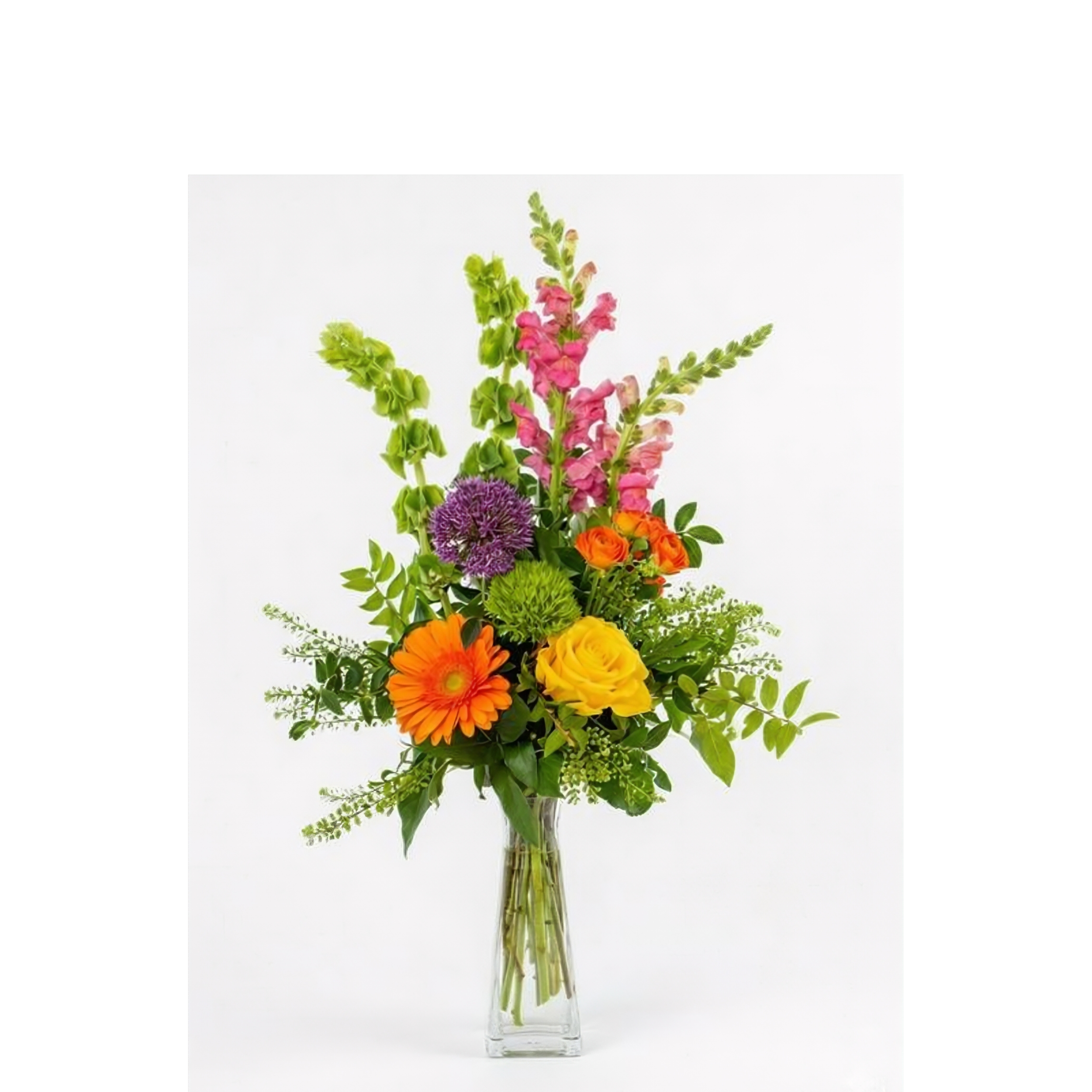 Vibrant Elegance - $65-$85