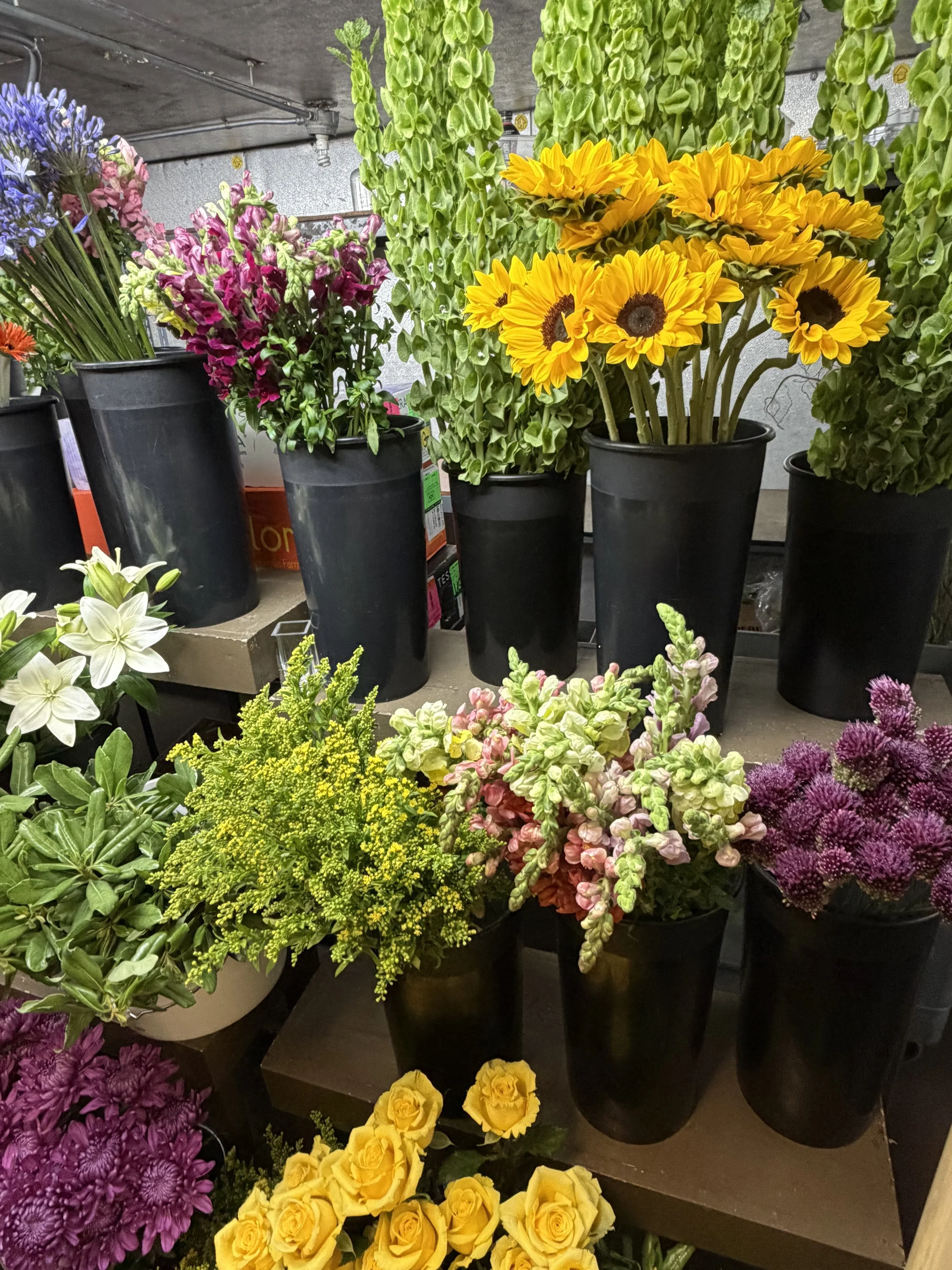 Various colorful flowers, including yellow sunflowers, purple chrysanthemums, pink and white snapdragons, white lilies, and yellow roses, arranged in black pots on display at a store.