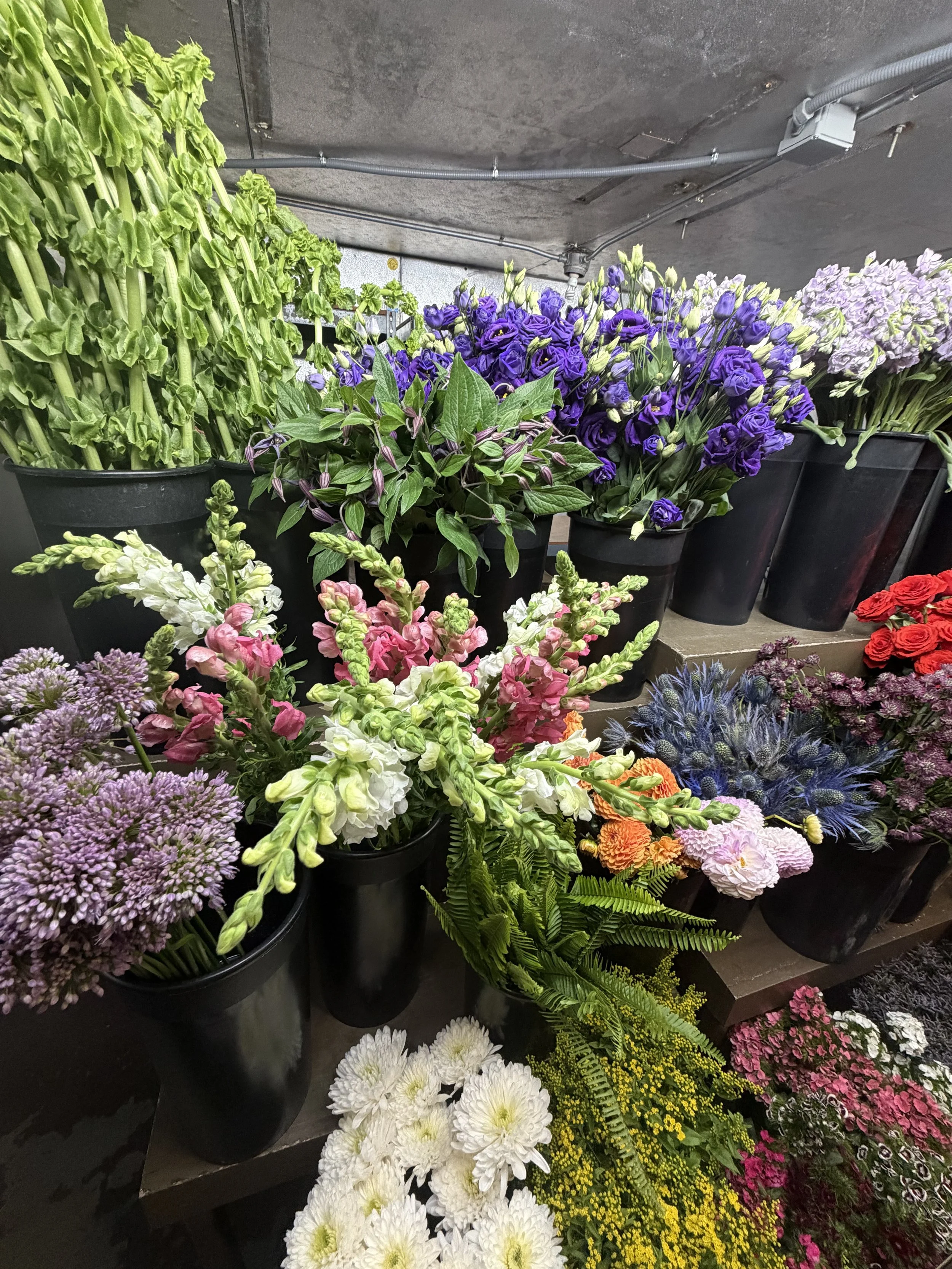 Various colorful flowers in black pots arranged on a shelf, including purple, pink, white, red, and yellow flowers in a flower shop cooler